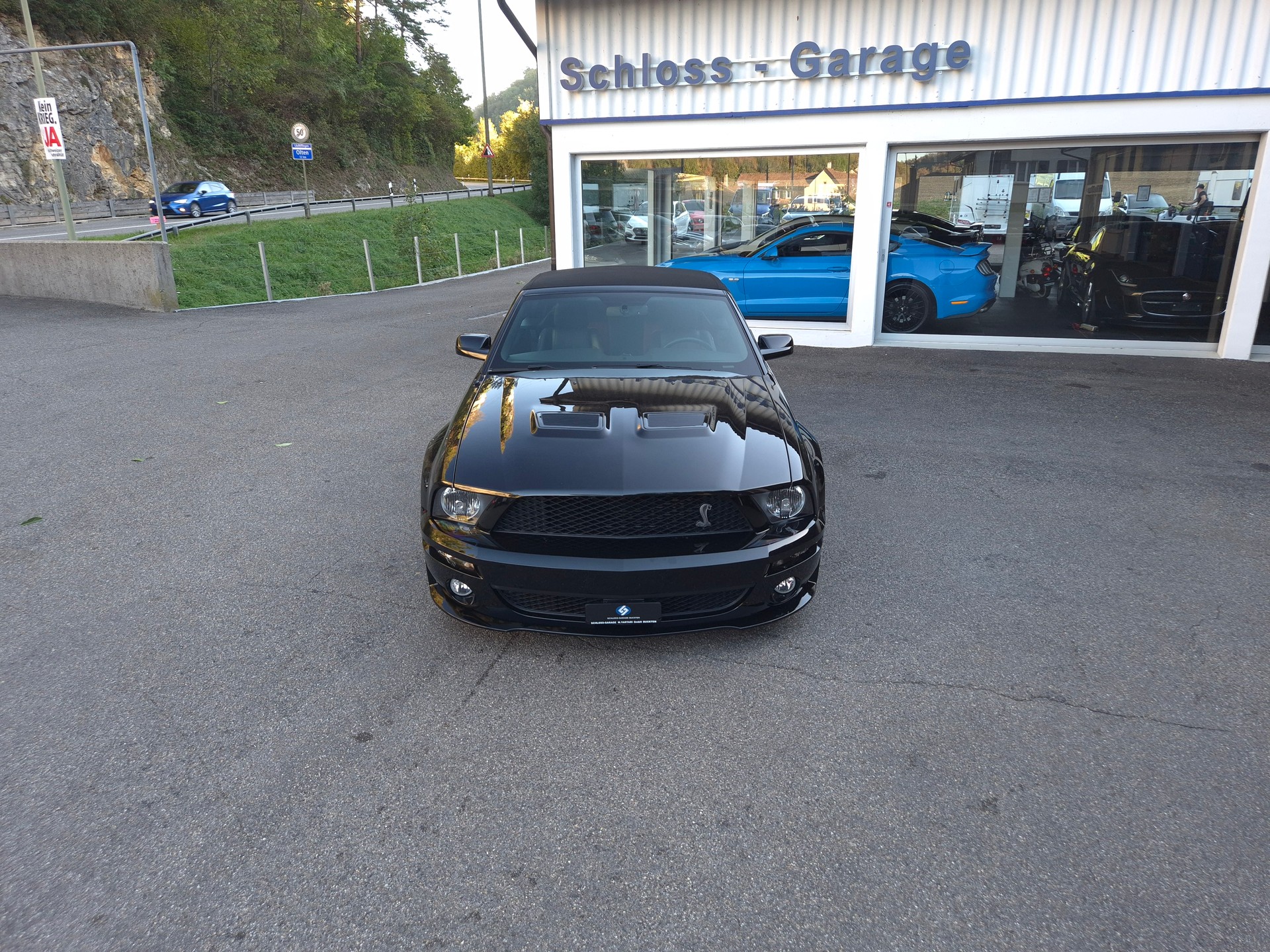 FORD Mustang Shelby GT500 SVT-image-3