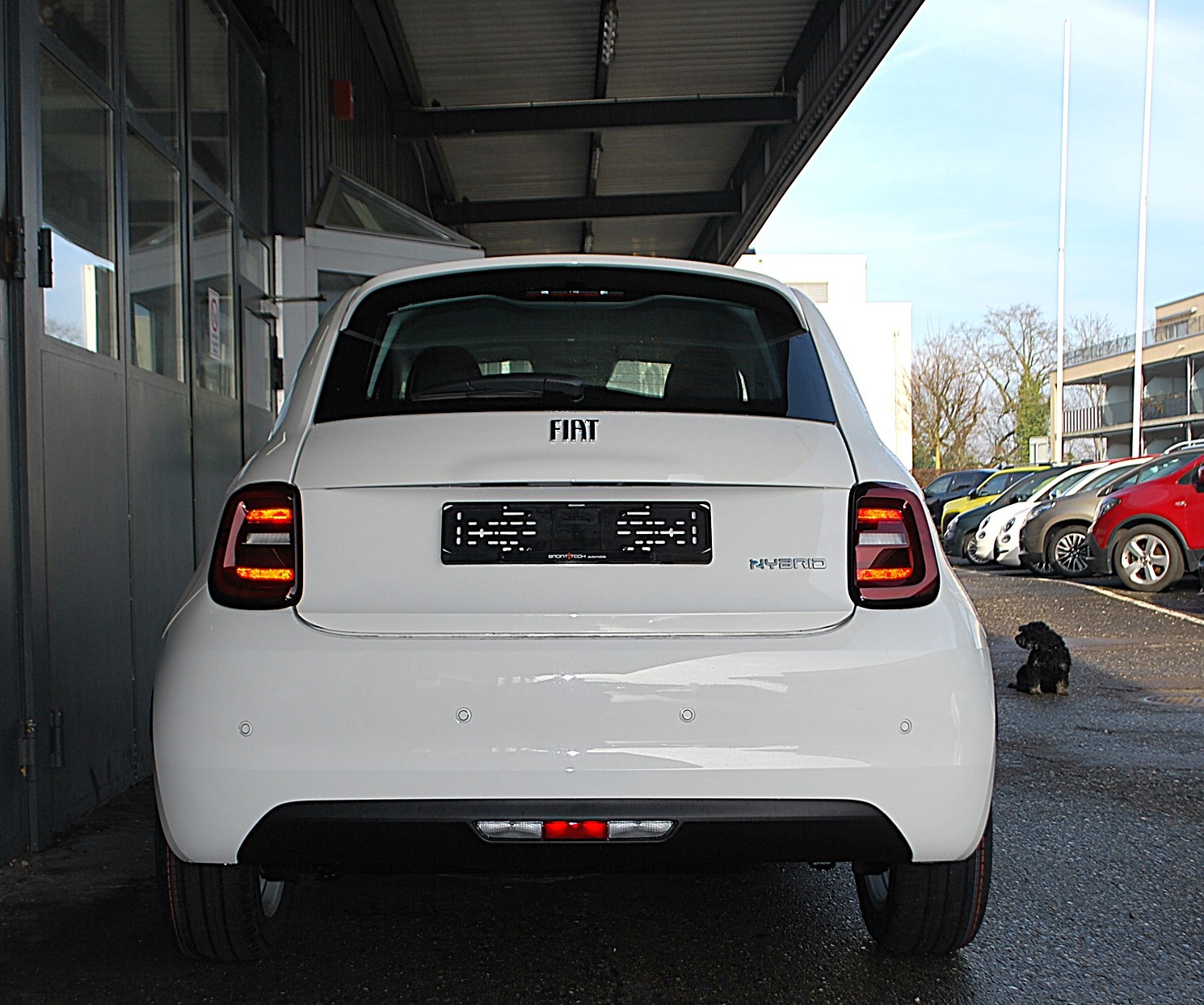 FIAT 500 1.0 FireFly MHD Torino-image-4