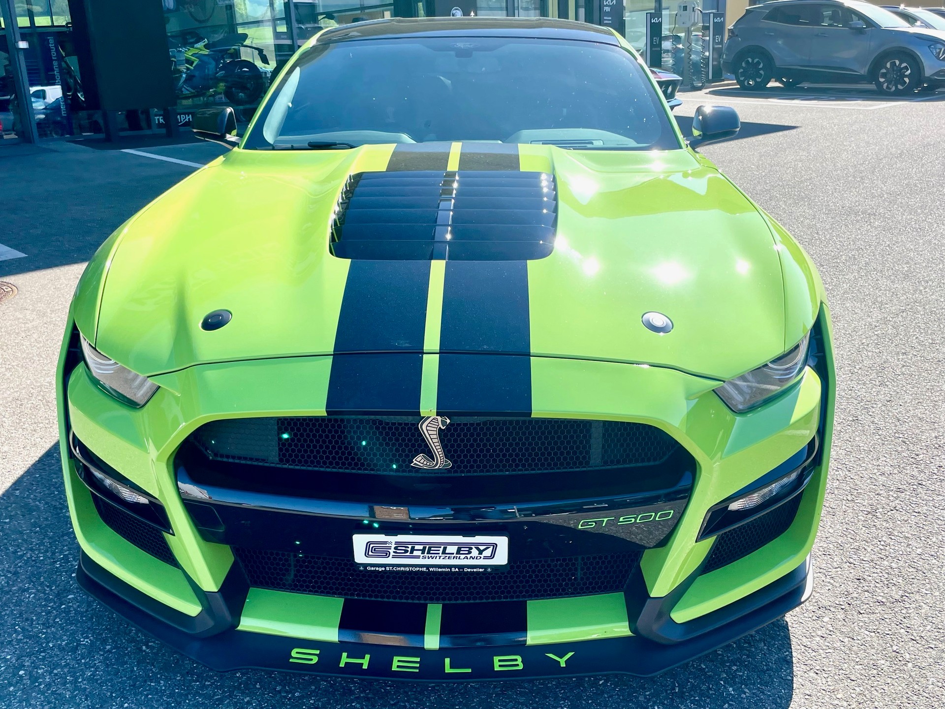FORD Shelby GT500-image-3