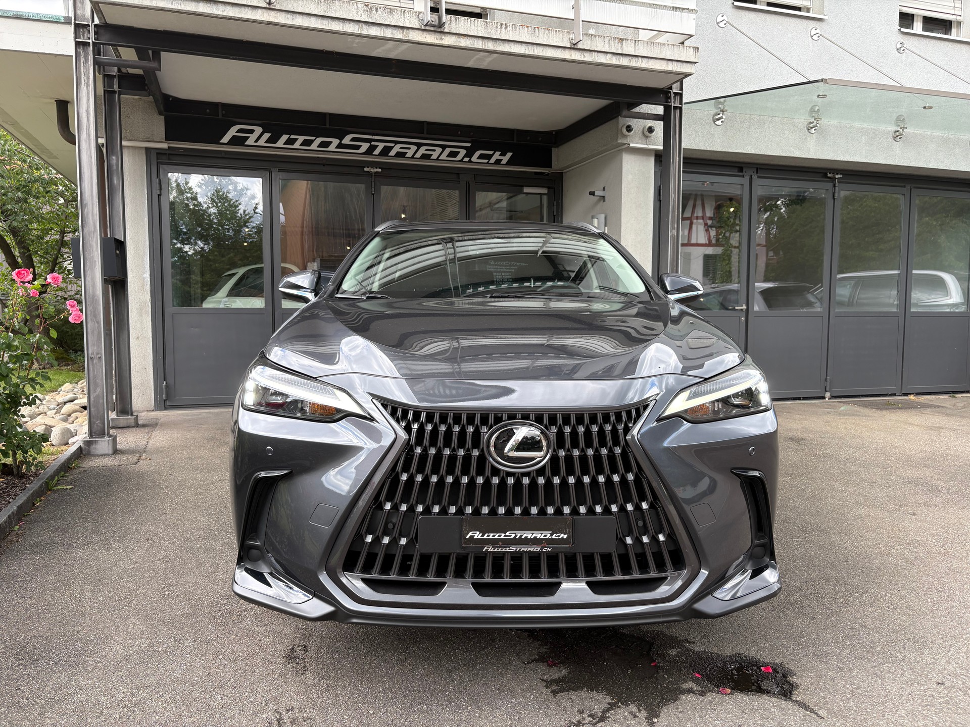 LEXUS NX 350h FWD Impression-image-1