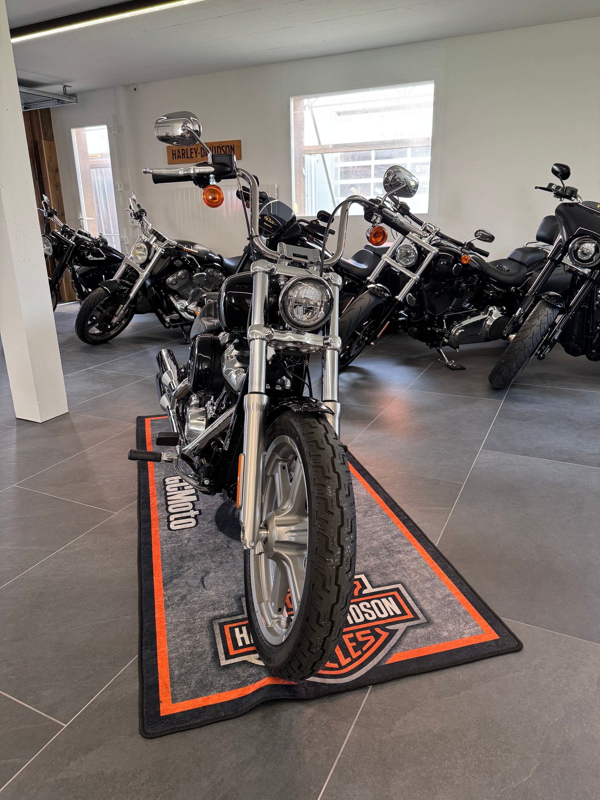 HARLEY-DAVIDSON FXST Softail Standard 107 ABS-showroom-element-2