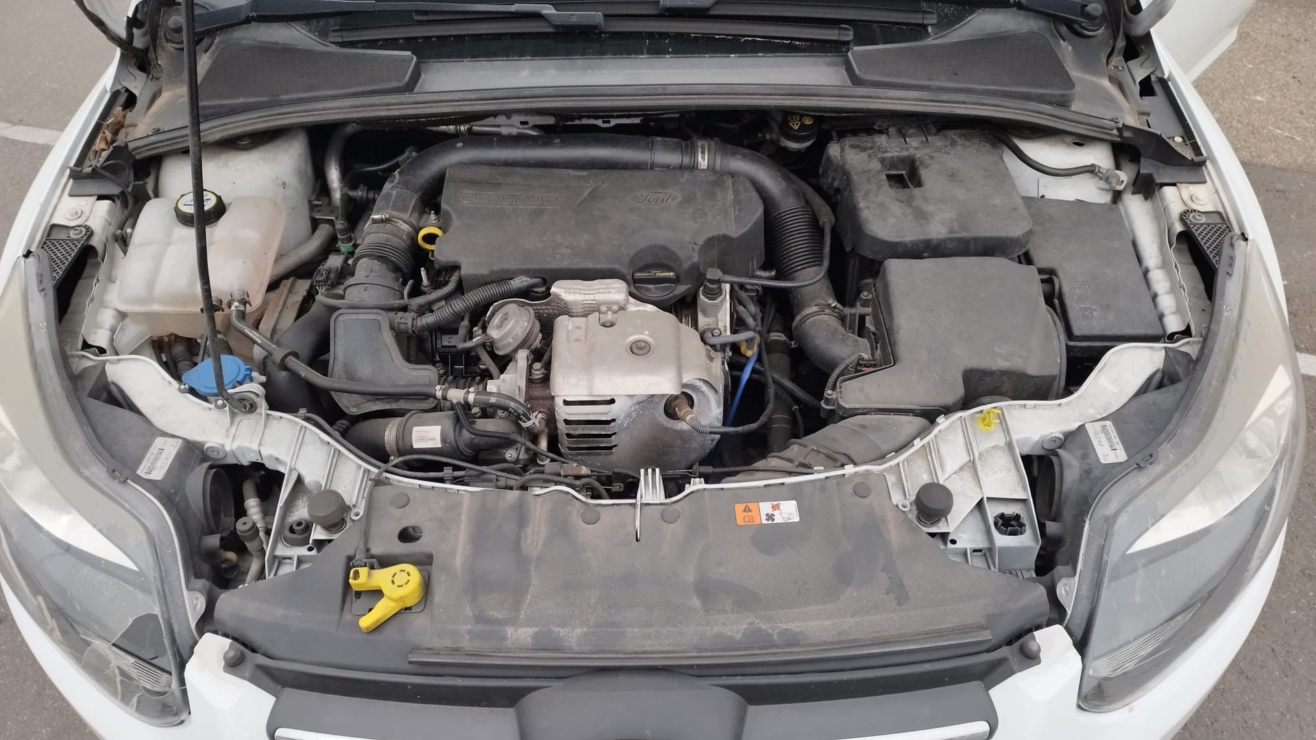 FORD Focus 1.0 SCTi Winner-image-12