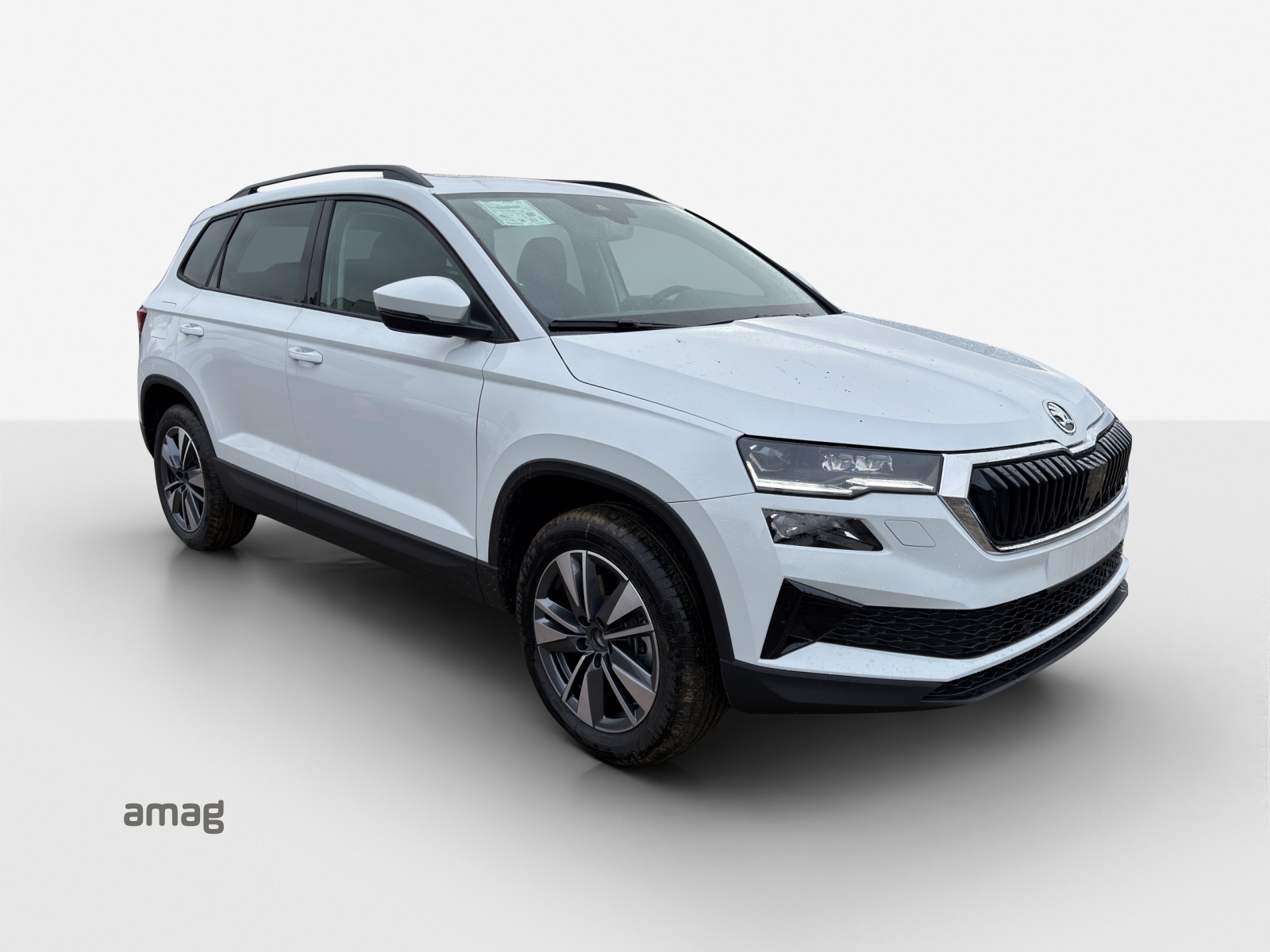 SKODA Karoq 1.5 TSI Dynamic DSG-image-5