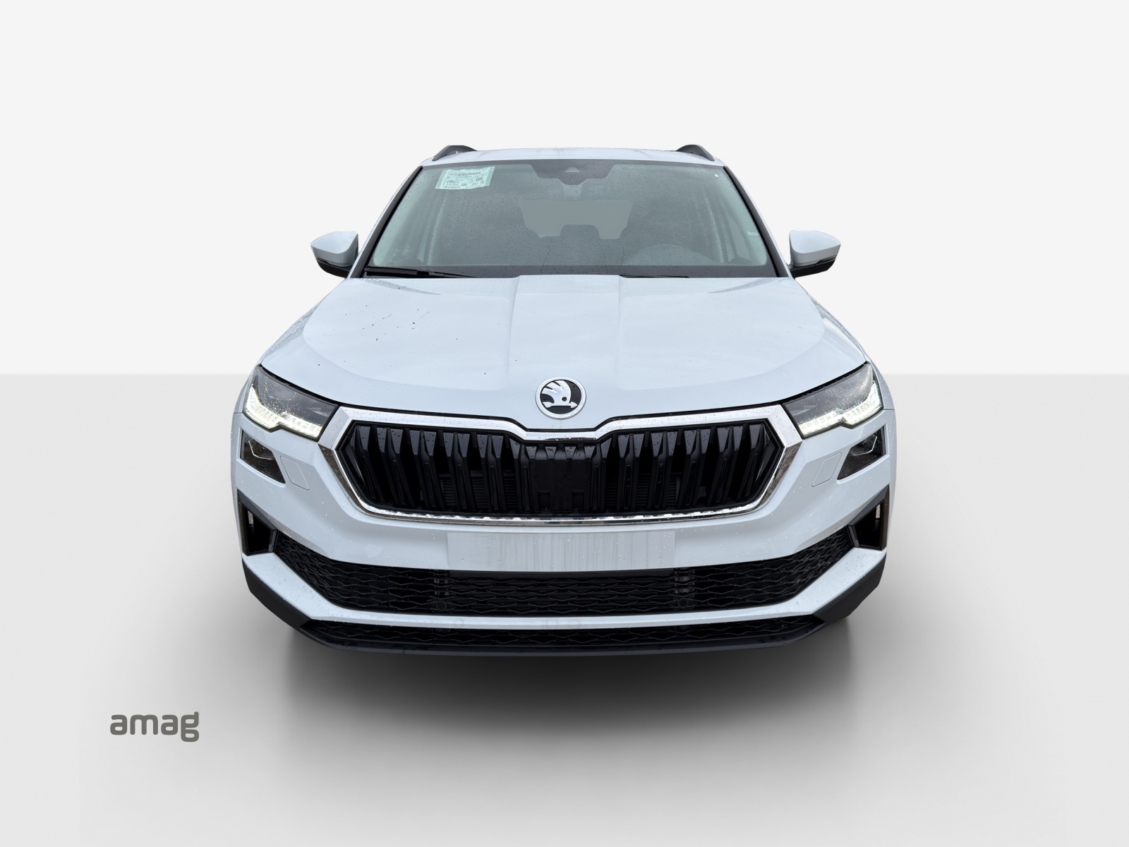 SKODA Karoq 1.5 TSI Dynamic DSG-image-6