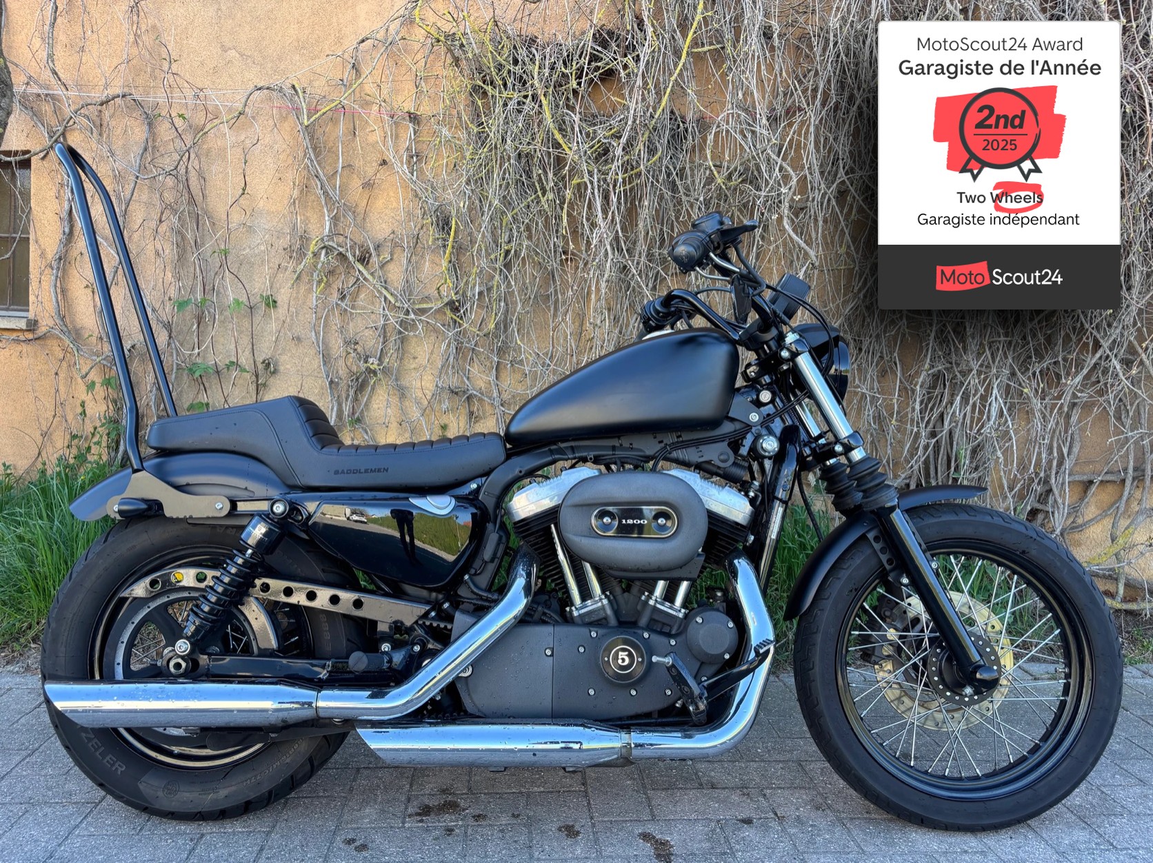HARLEY-DAVIDSON XL 1200 N Sportster Nightster