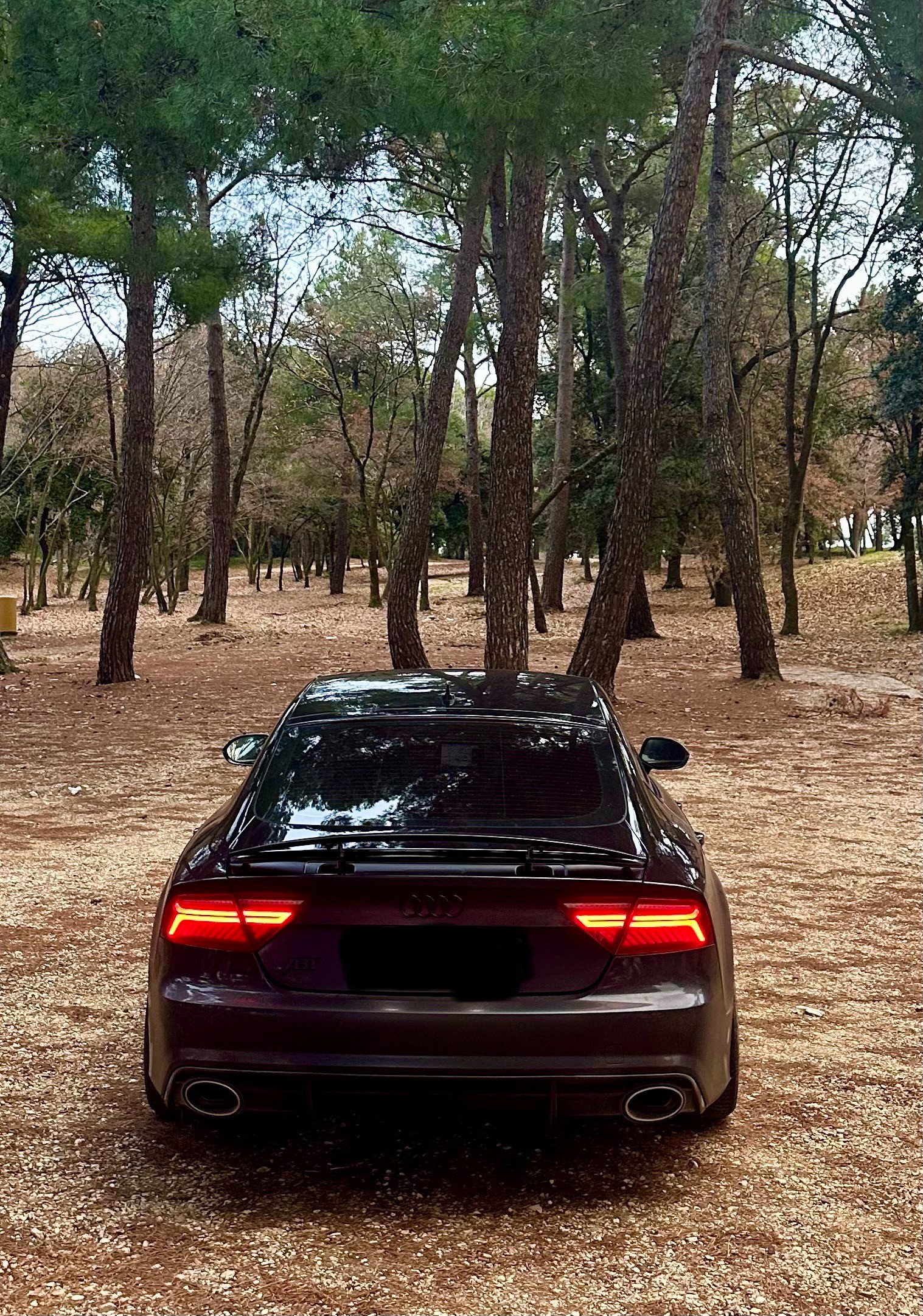 AUDI 3.0 V6 BITDI Competition quattro All black Edition-image-8