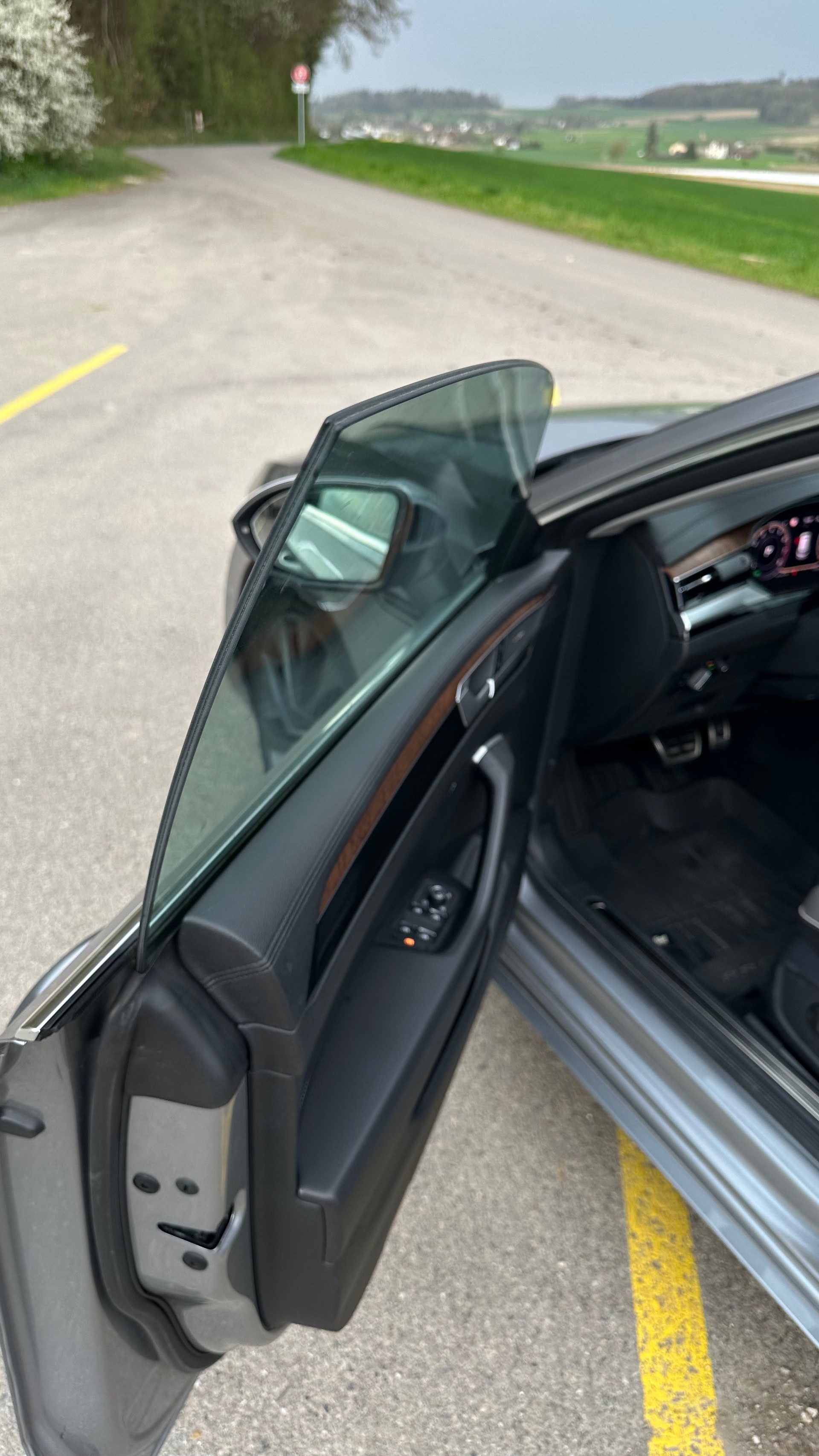VW ELEGANCE-image-9