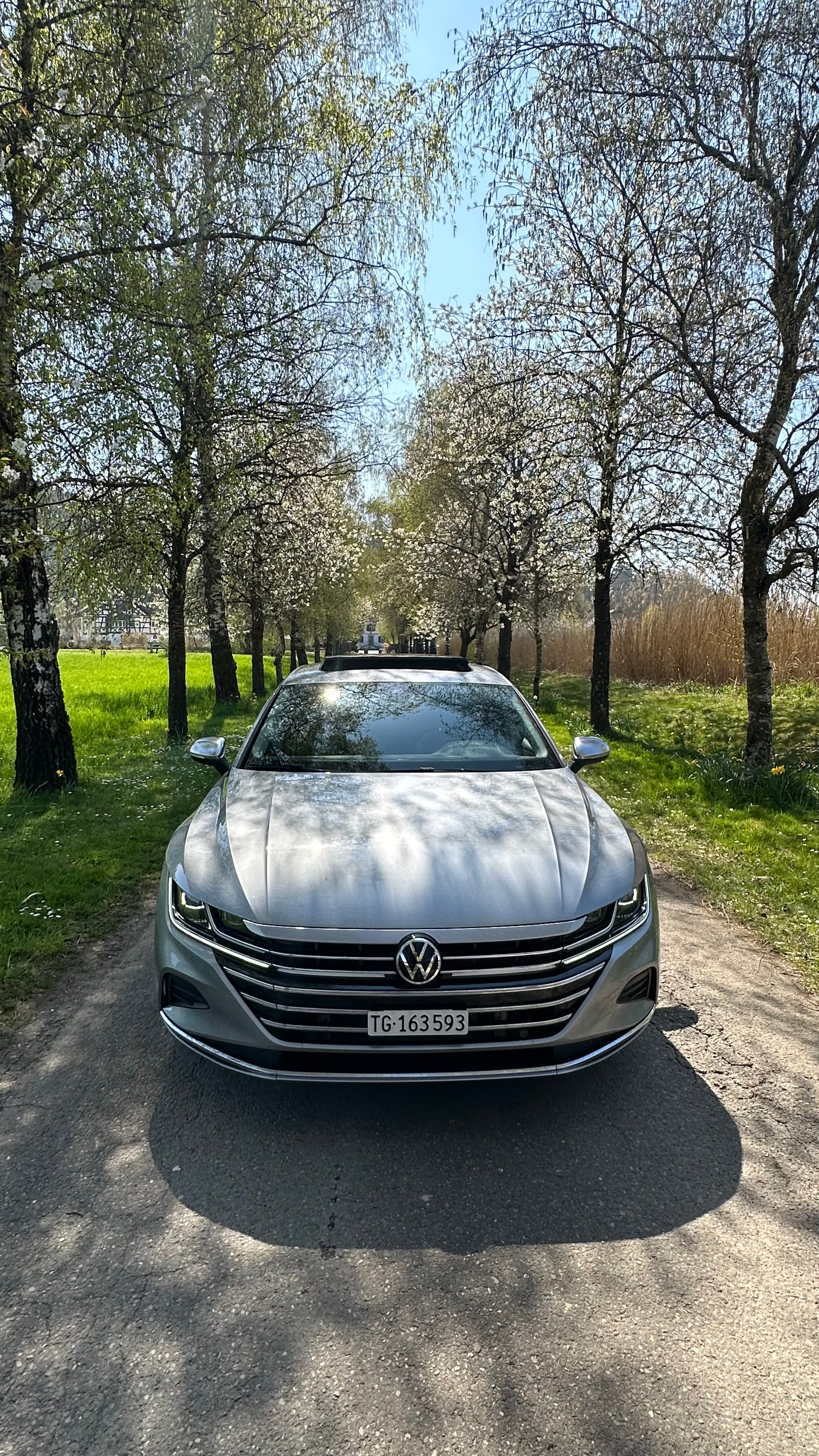VW ELEGANCE-image-1