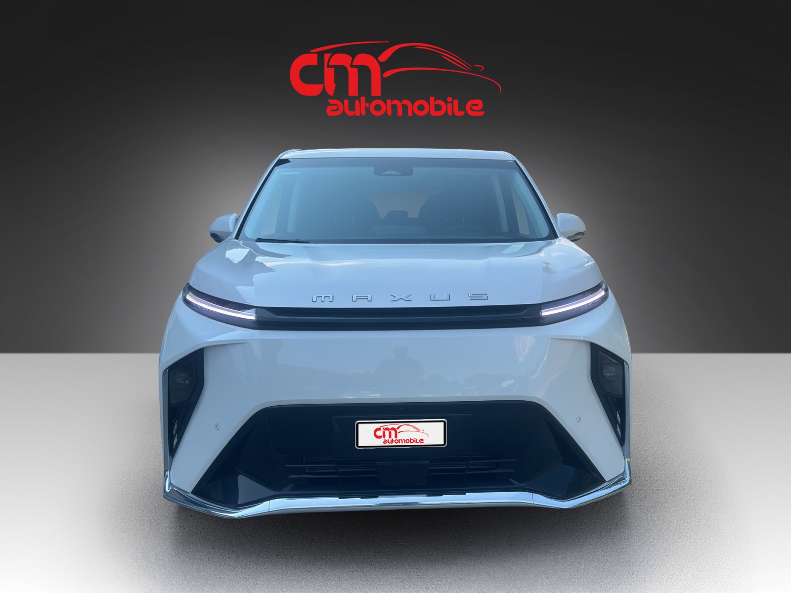 MAXUS Mifa 9 Luxury 90kWh-image-7