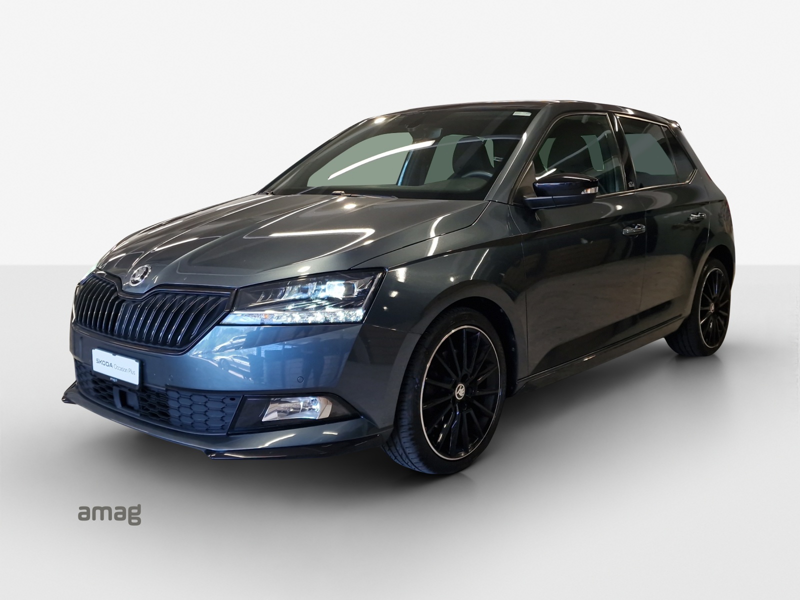 SKODA Fabia 1.0 TSI Monte Carlo DSG-image-0