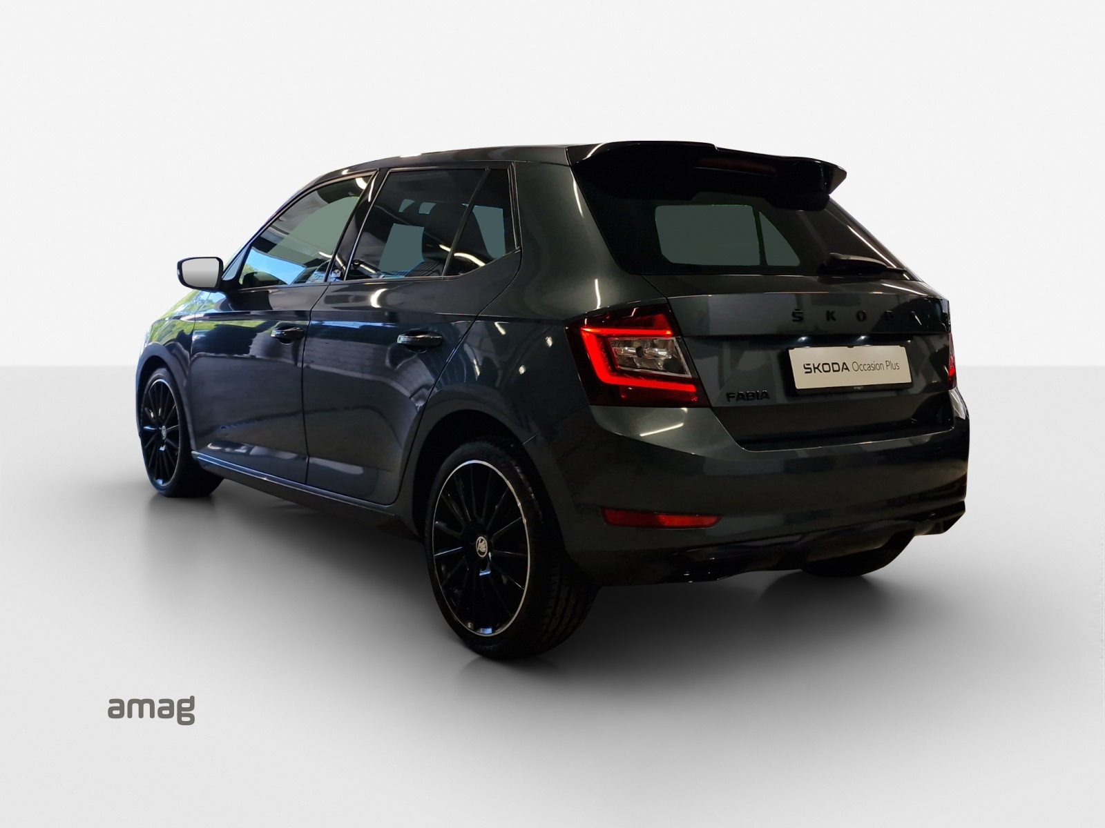 SKODA Fabia 1.0 TSI Monte Carlo DSG-image-2