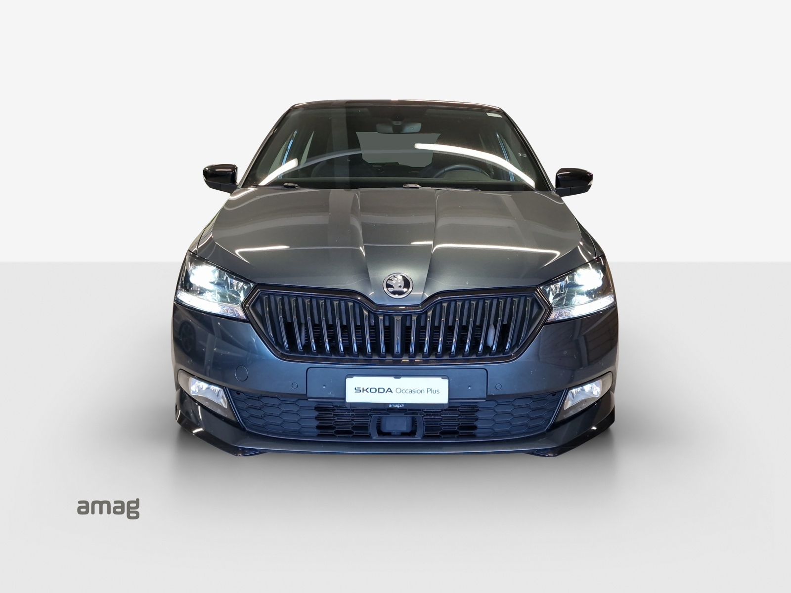 SKODA Fabia 1.0 TSI Monte Carlo DSG-image-6