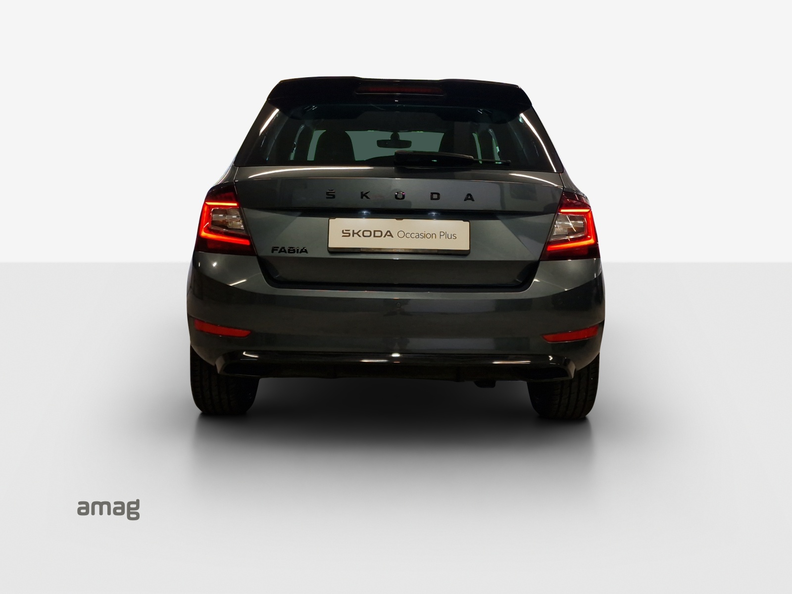 SKODA Fabia 1.0 TSI Monte Carlo DSG-image-3