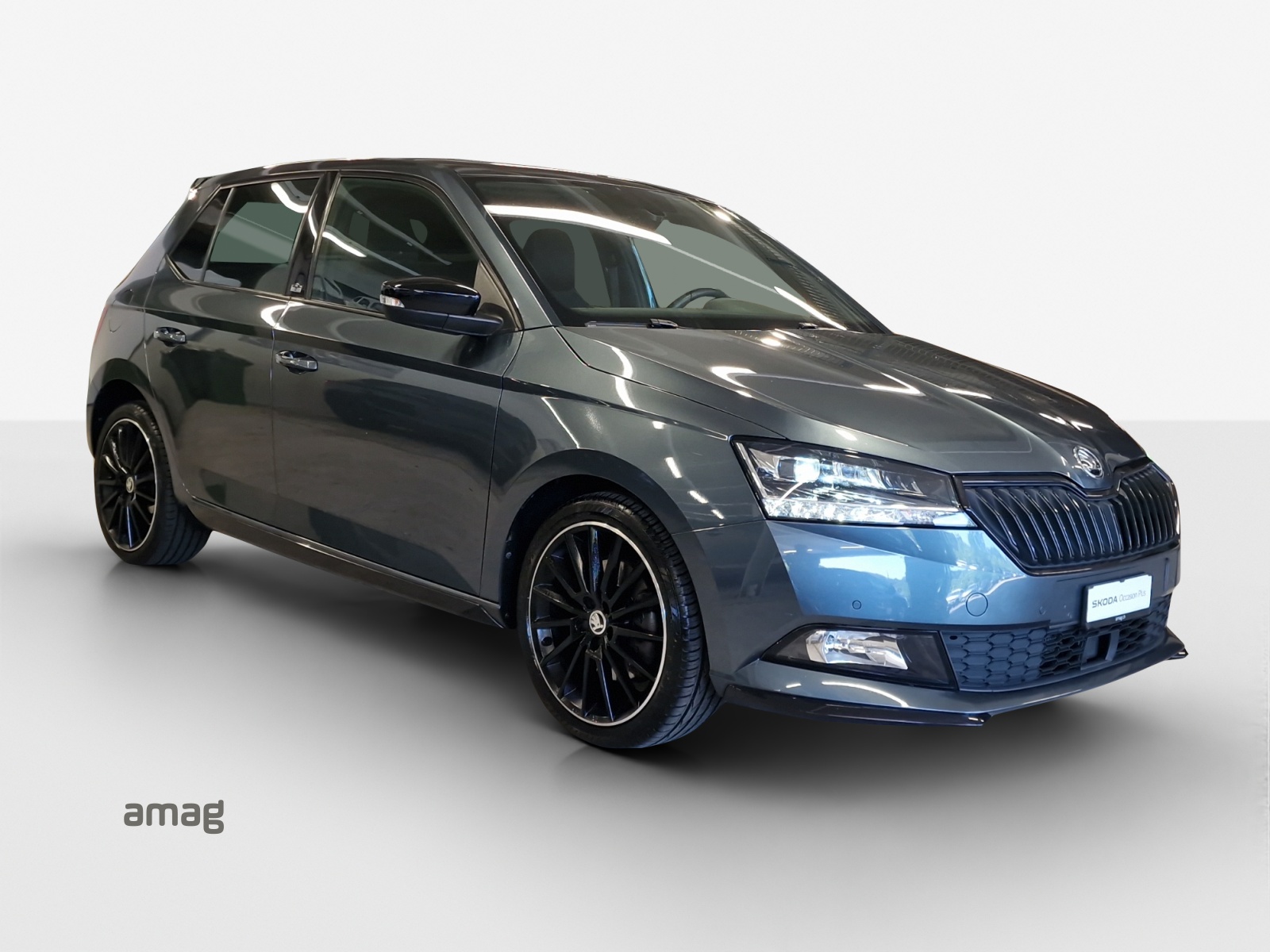 SKODA Fabia 1.0 TSI Monte Carlo DSG-image-5
