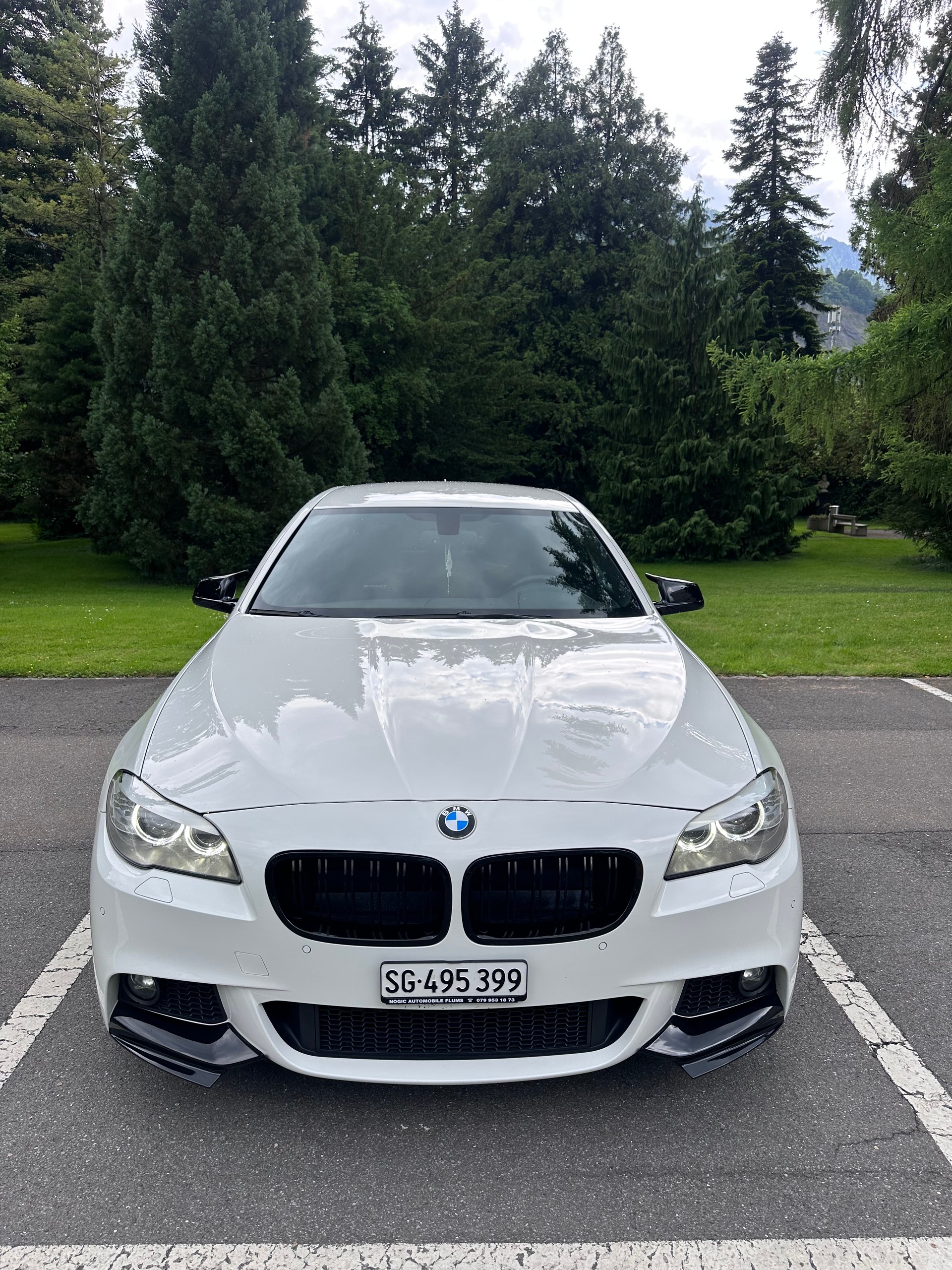 BMW 525d xDrive Steptronic-showroom-element-2