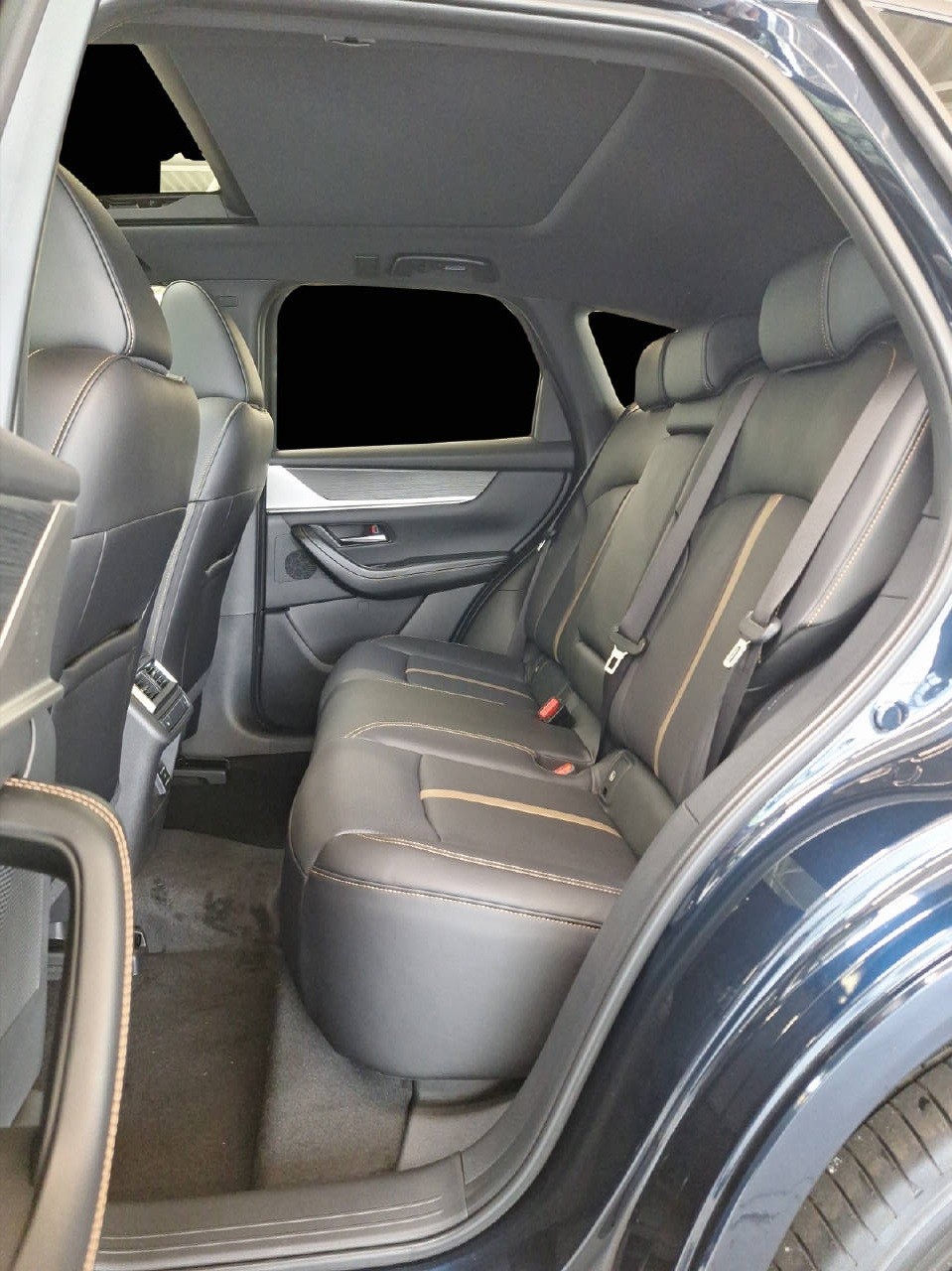 MAZDA CX-60 3.3 D 254 PS Homura Plus AWD-image-19