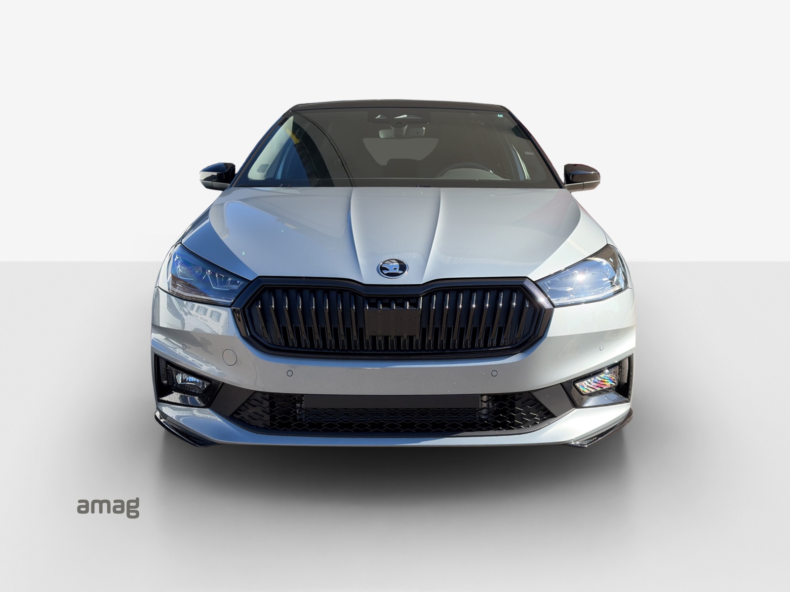 SKODA Fabia 1.0 TSI Monte Carlo DSG-image-5