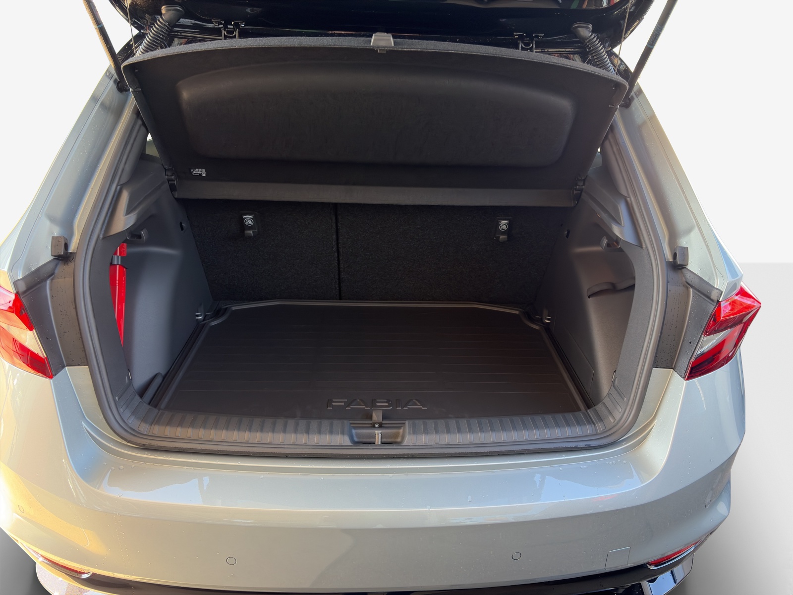 SKODA Fabia 1.0 TSI Monte Carlo DSG-image-11