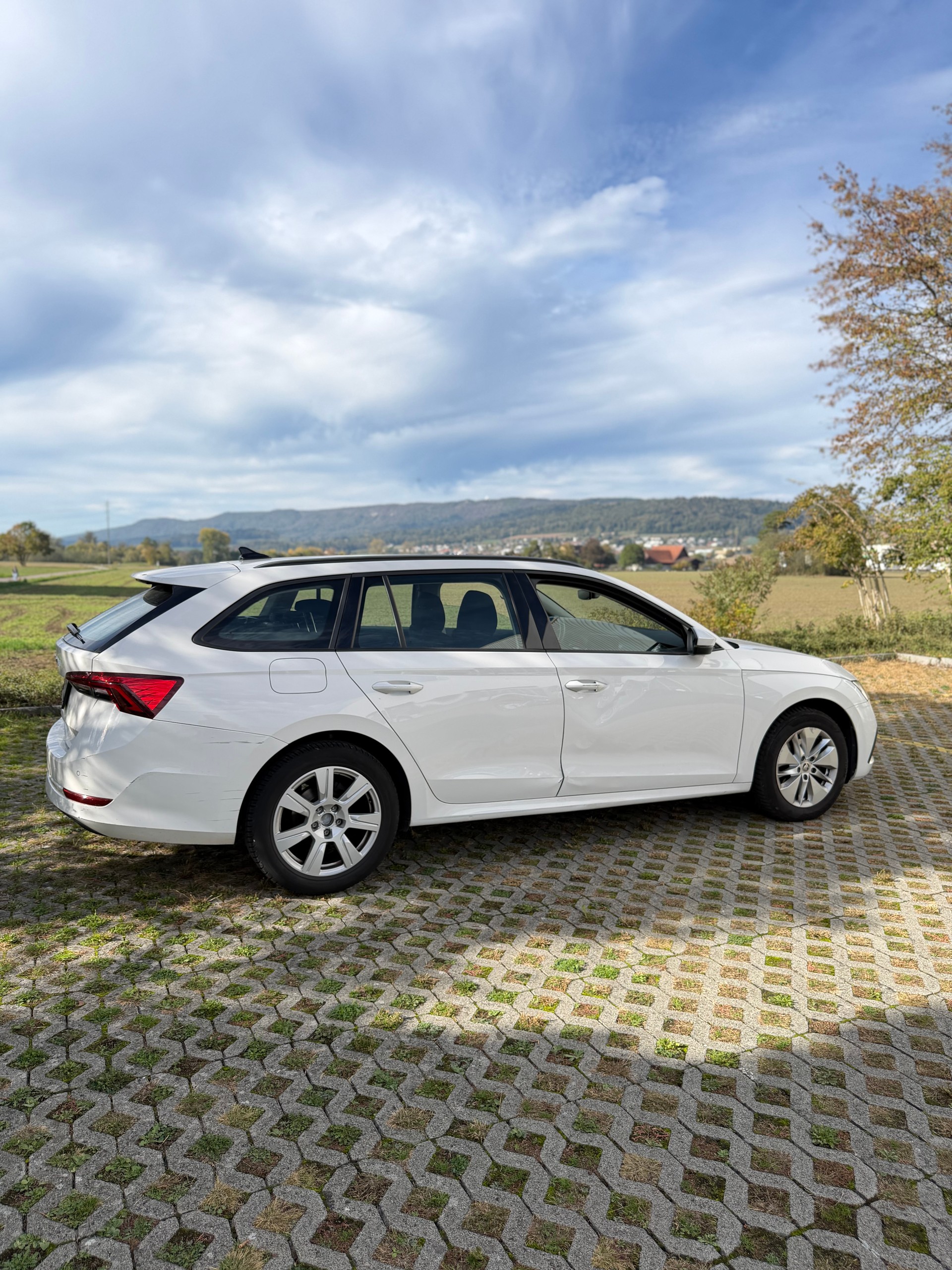 SKODA Octavia Combi 2.0 TDI DSG Ambition-image-6