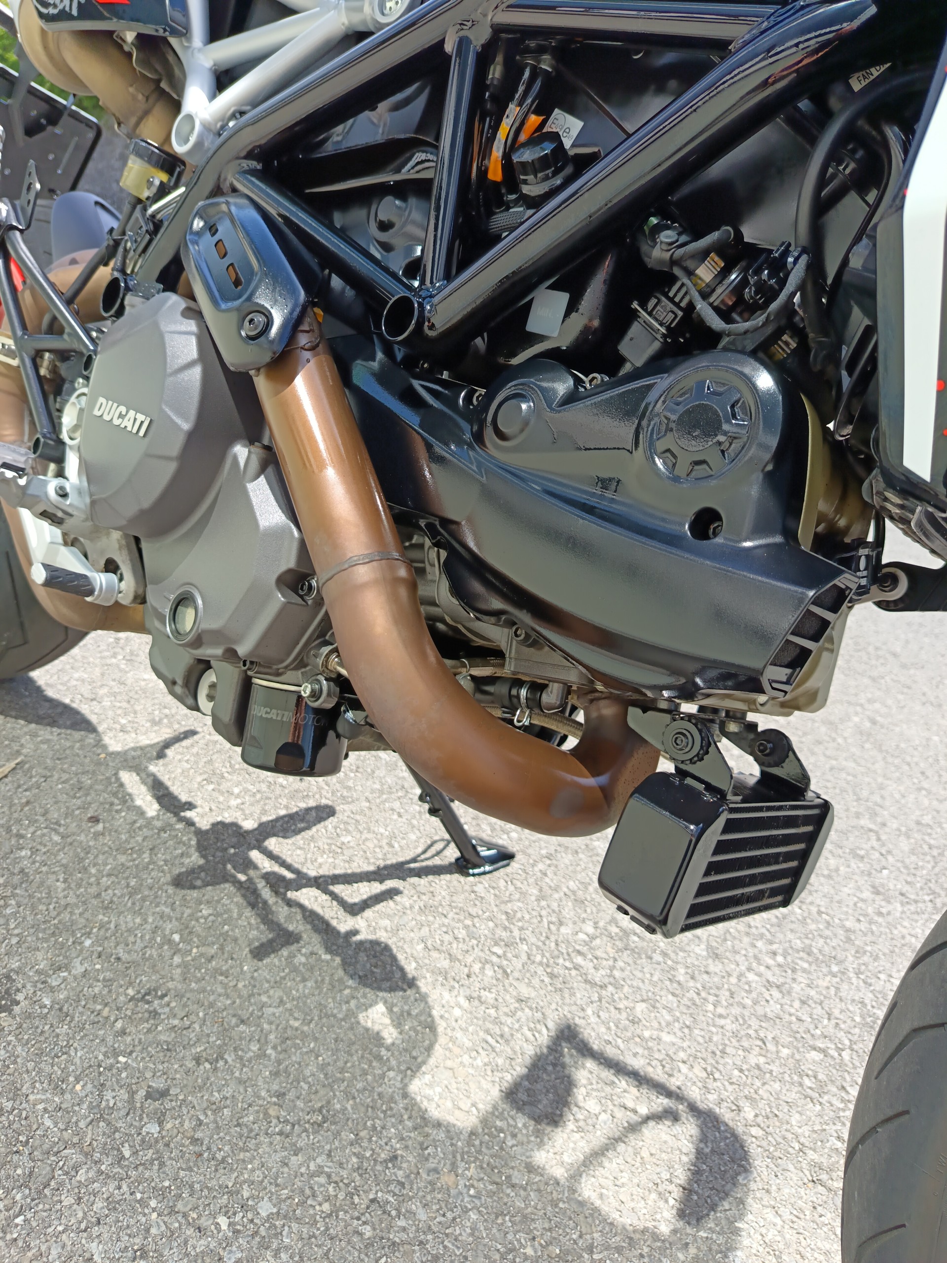 DUCATI Hypermotard 950 RVE-image-10