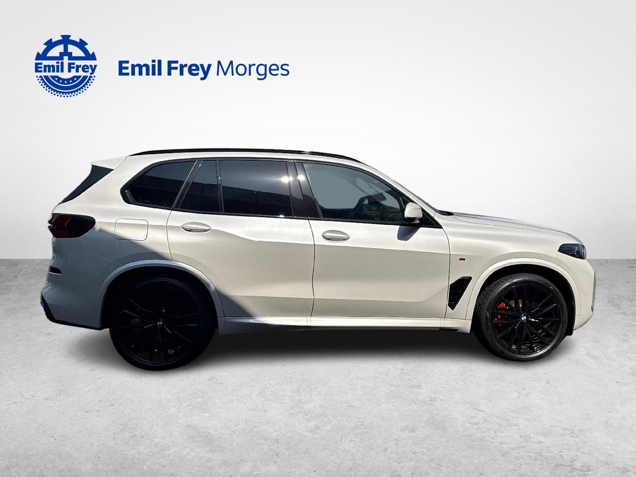 BMW X5 30d xDrive SAG-image-5