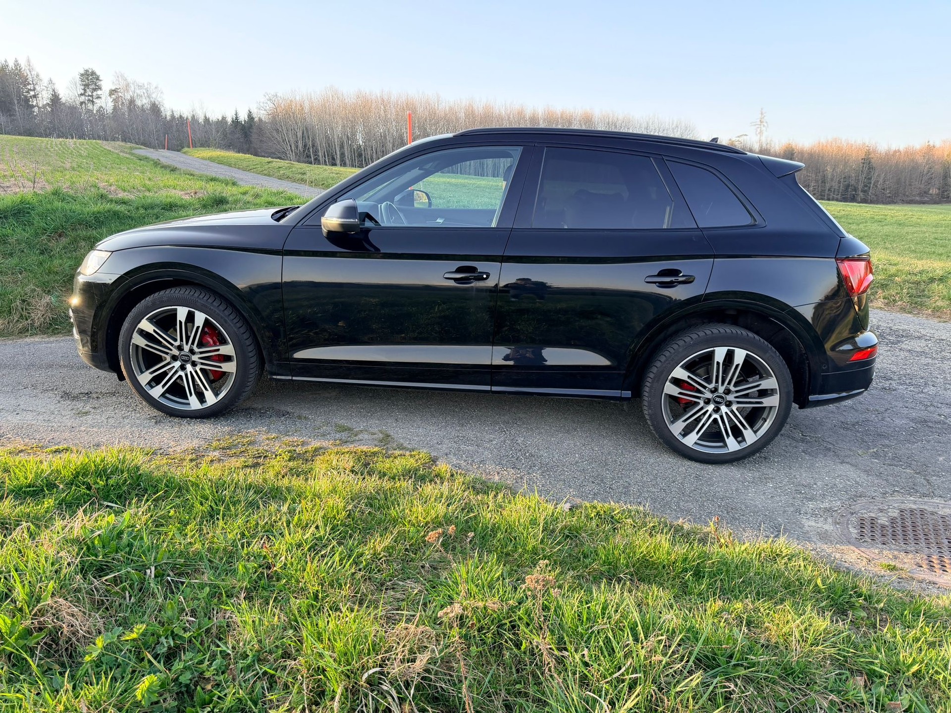 AUDI SQ5 3.0 TFSI quattro S-tronic-image-4