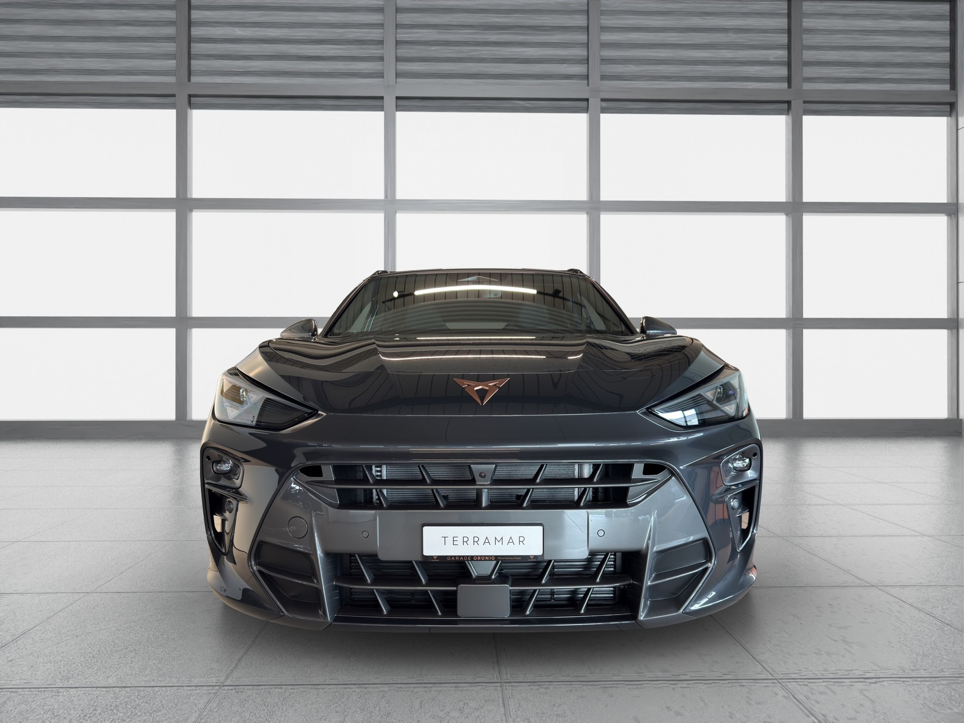 CUPRA Terramar 2.0 TSI Prime Edition DSG 4Drive-image-1