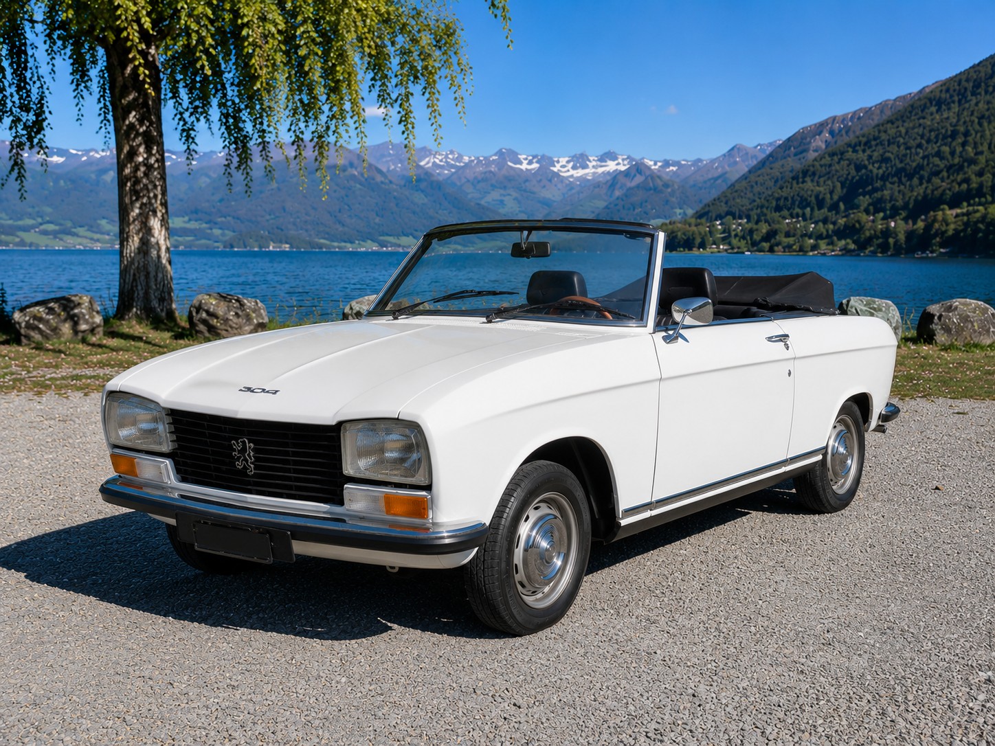 PEUGEOT 304-image-5
