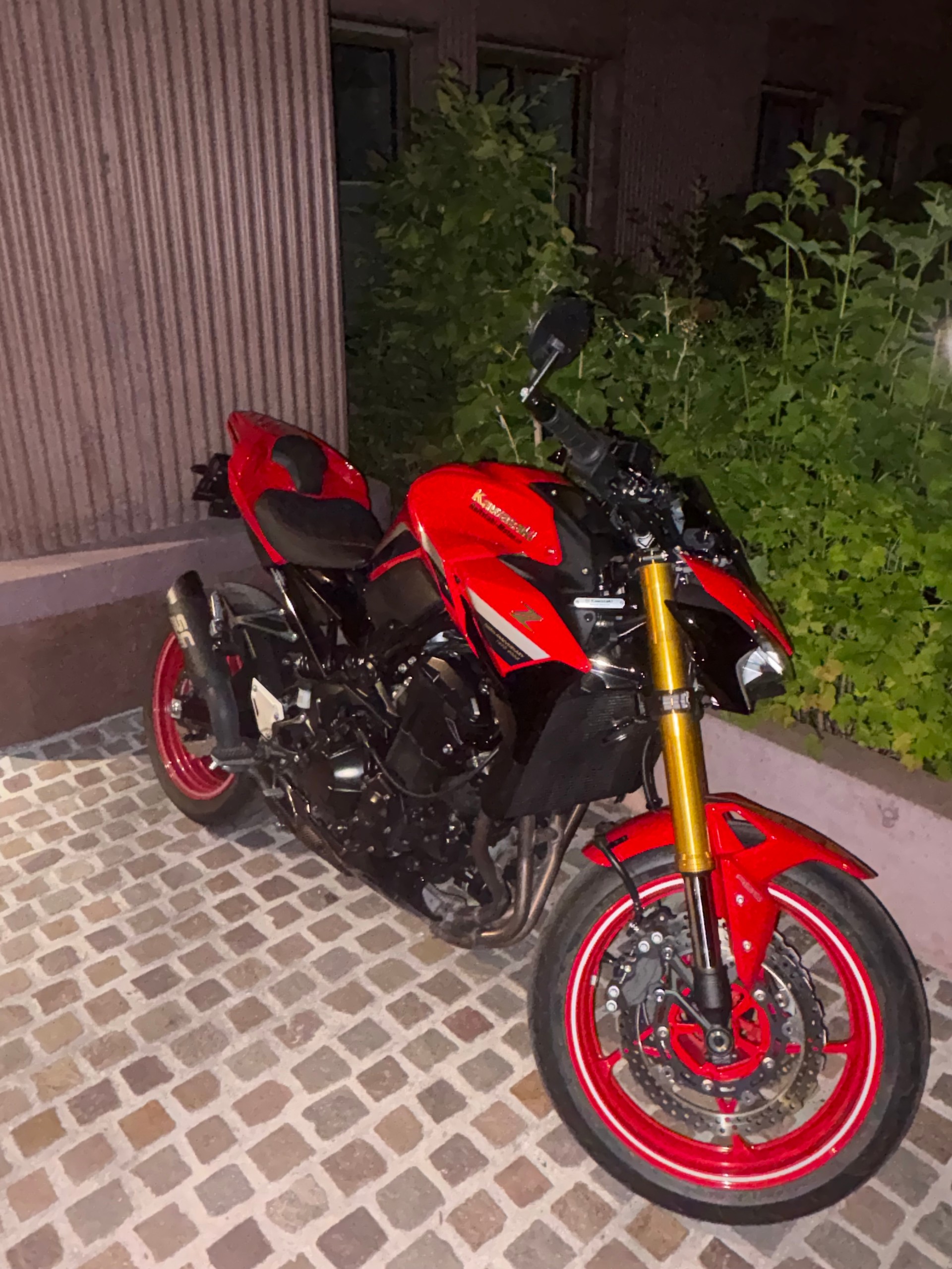 KAWASAKI Z 900 Anniversary Edition (35KW)-image-9