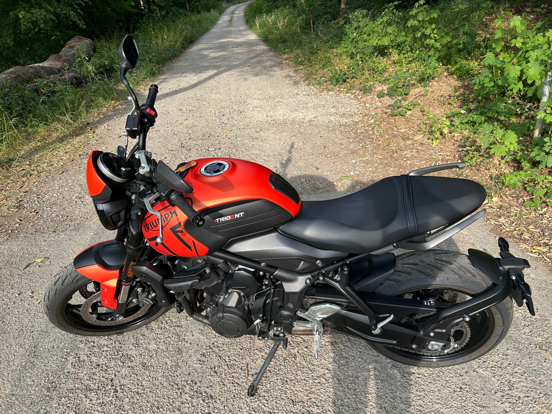 TRIUMPH Trident-image-1