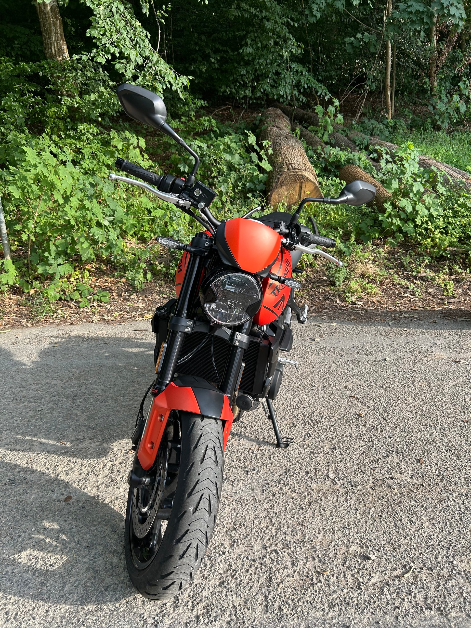 TRIUMPH Trident-image-2