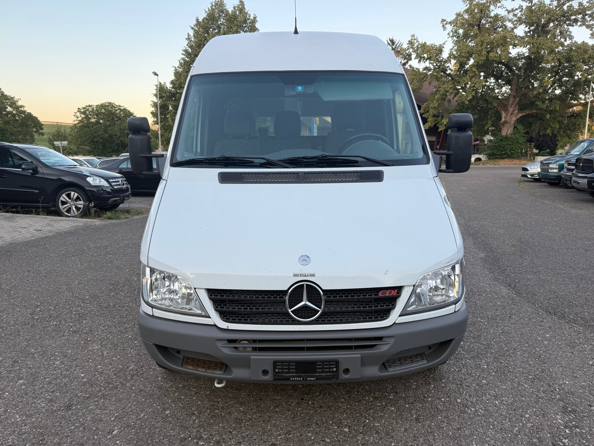MERCEDES-BENZ Sprinter 313 CDI-image-1