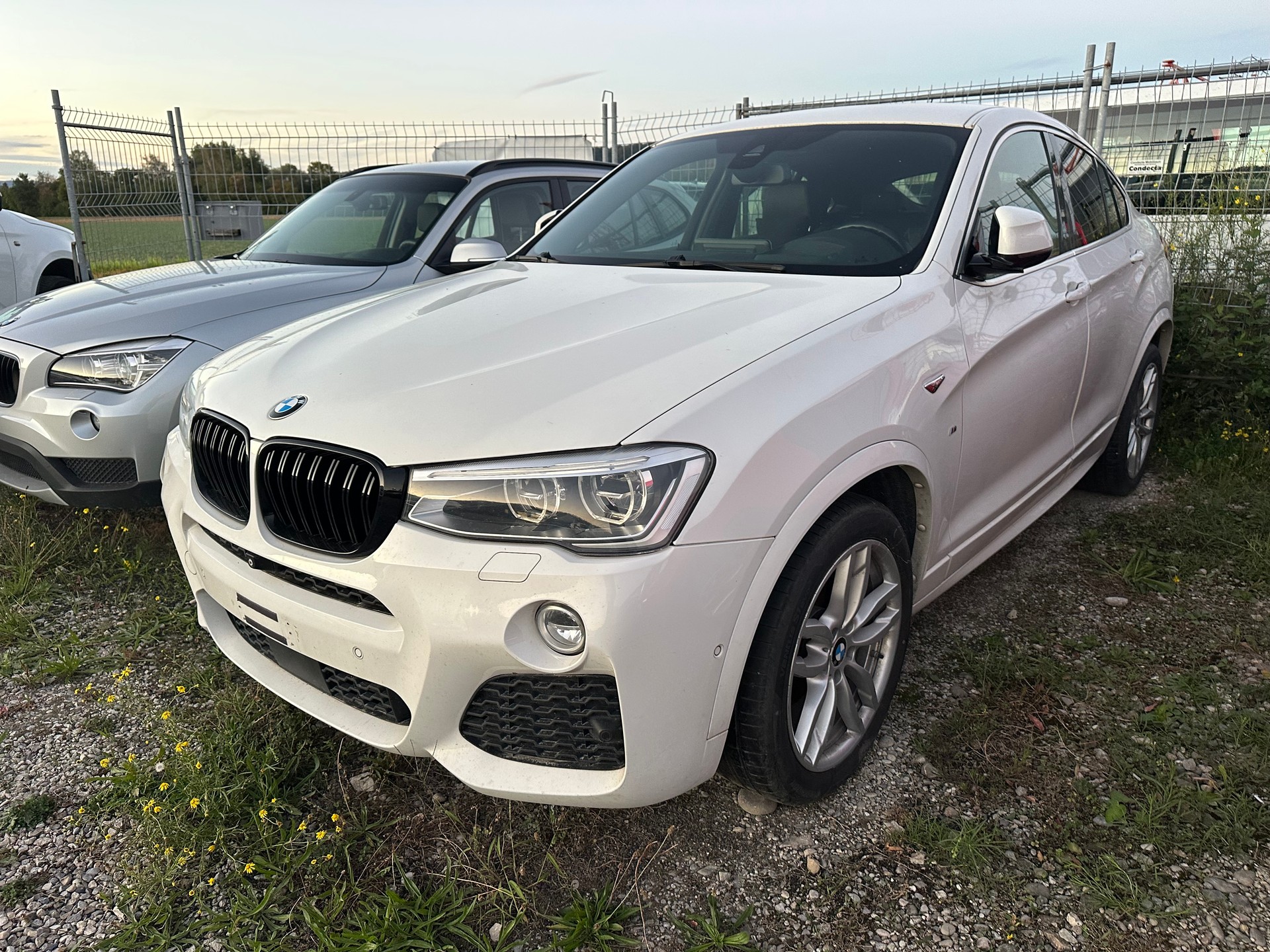 BMW X4 xDrive 35d Steptronic-image-0