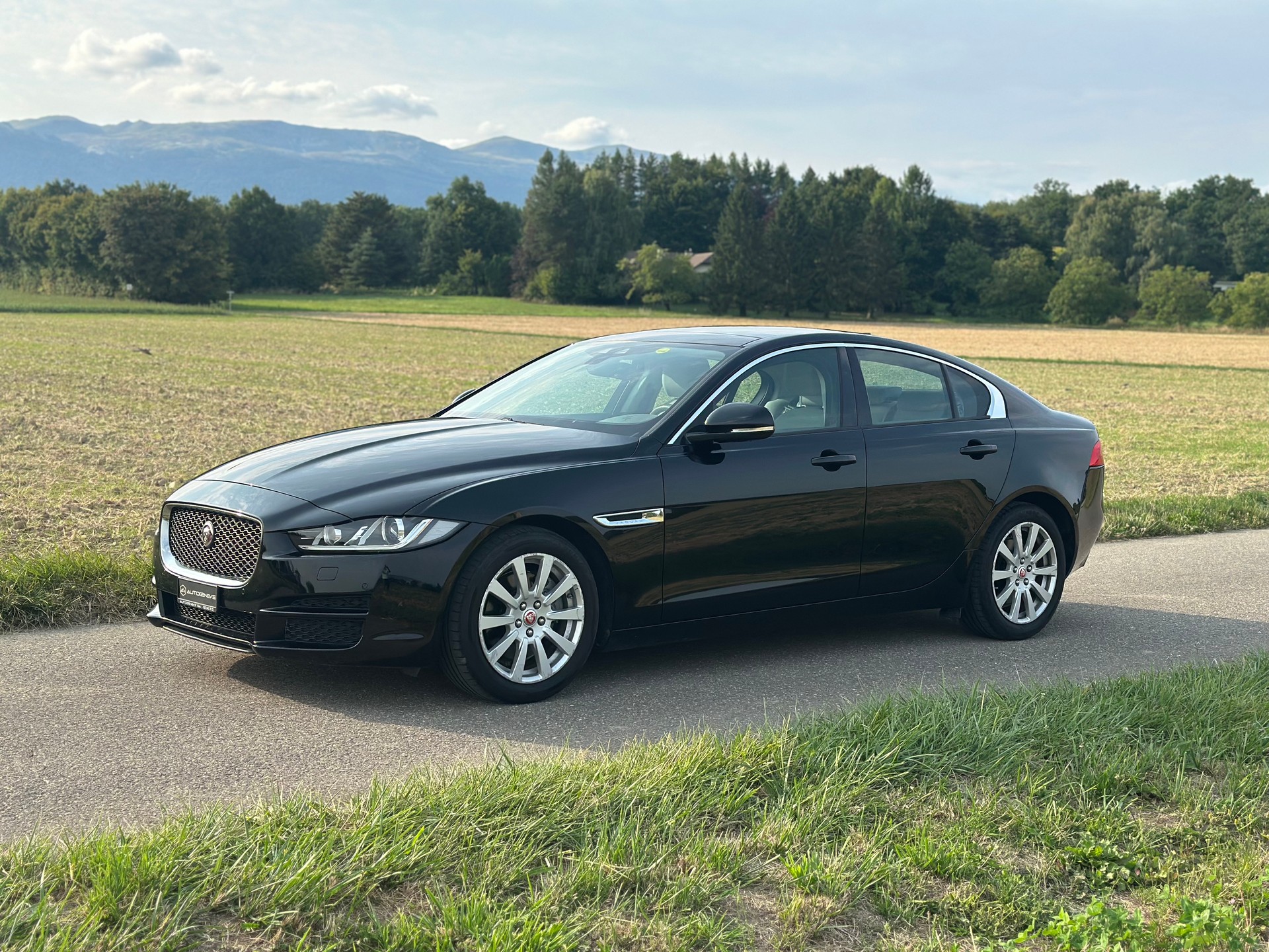 JAGUAR XE 20d Prestige Automat-image-5