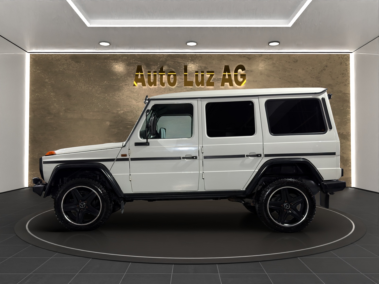MERCEDES-BENZ MERCEDES-BENZ G300 CDI Work Professional-image-5