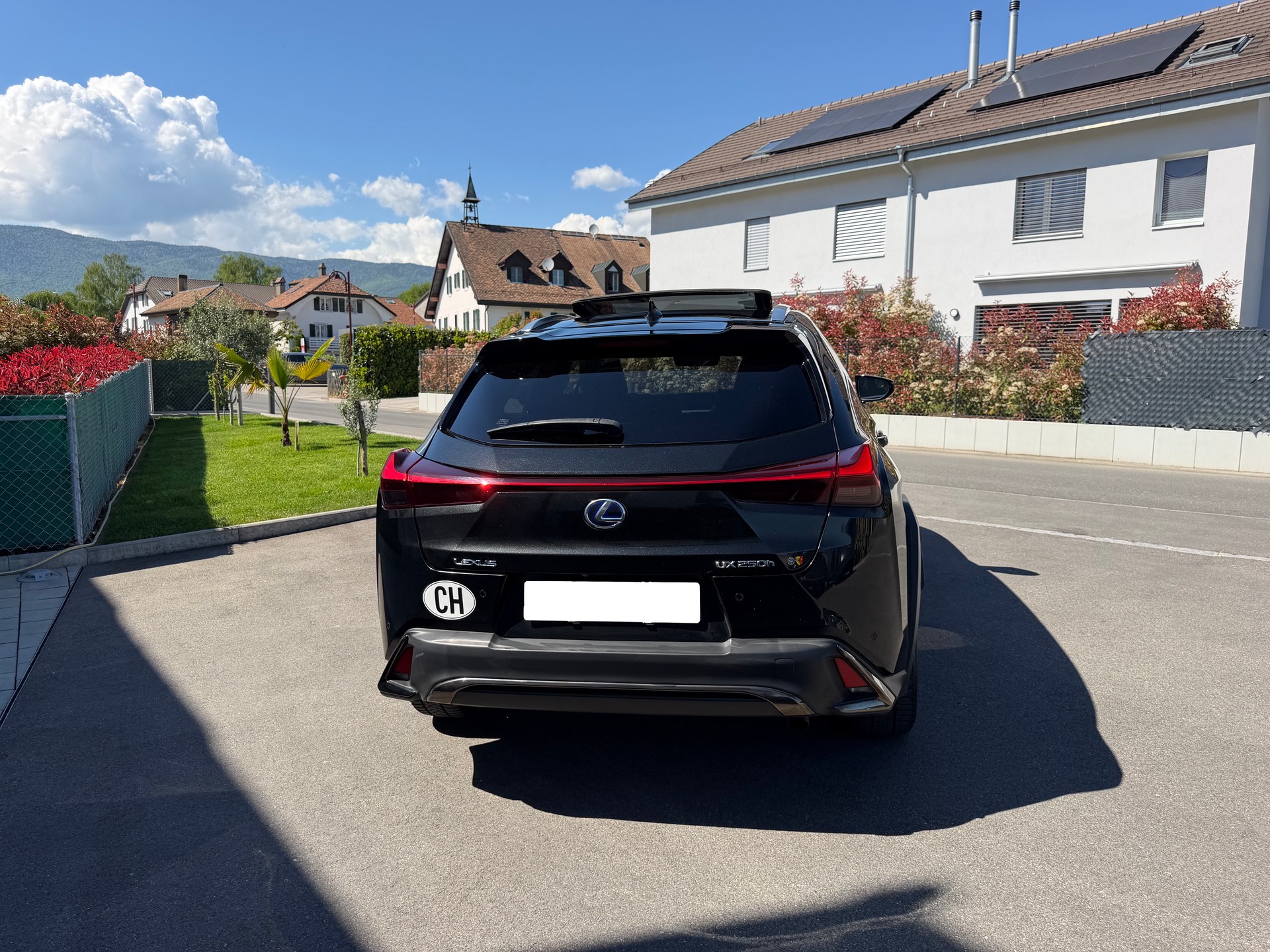 LEXUS UX 250h F Sport AWD Automatic-image-4