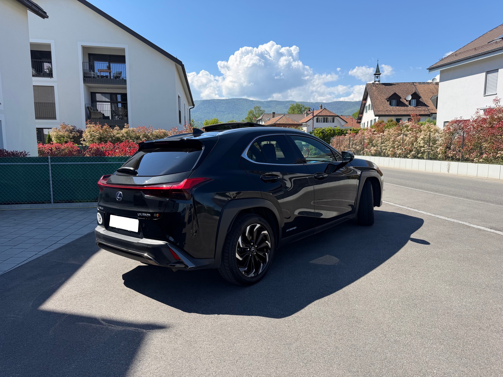 LEXUS UX 250h F Sport AWD Automatic-image-1