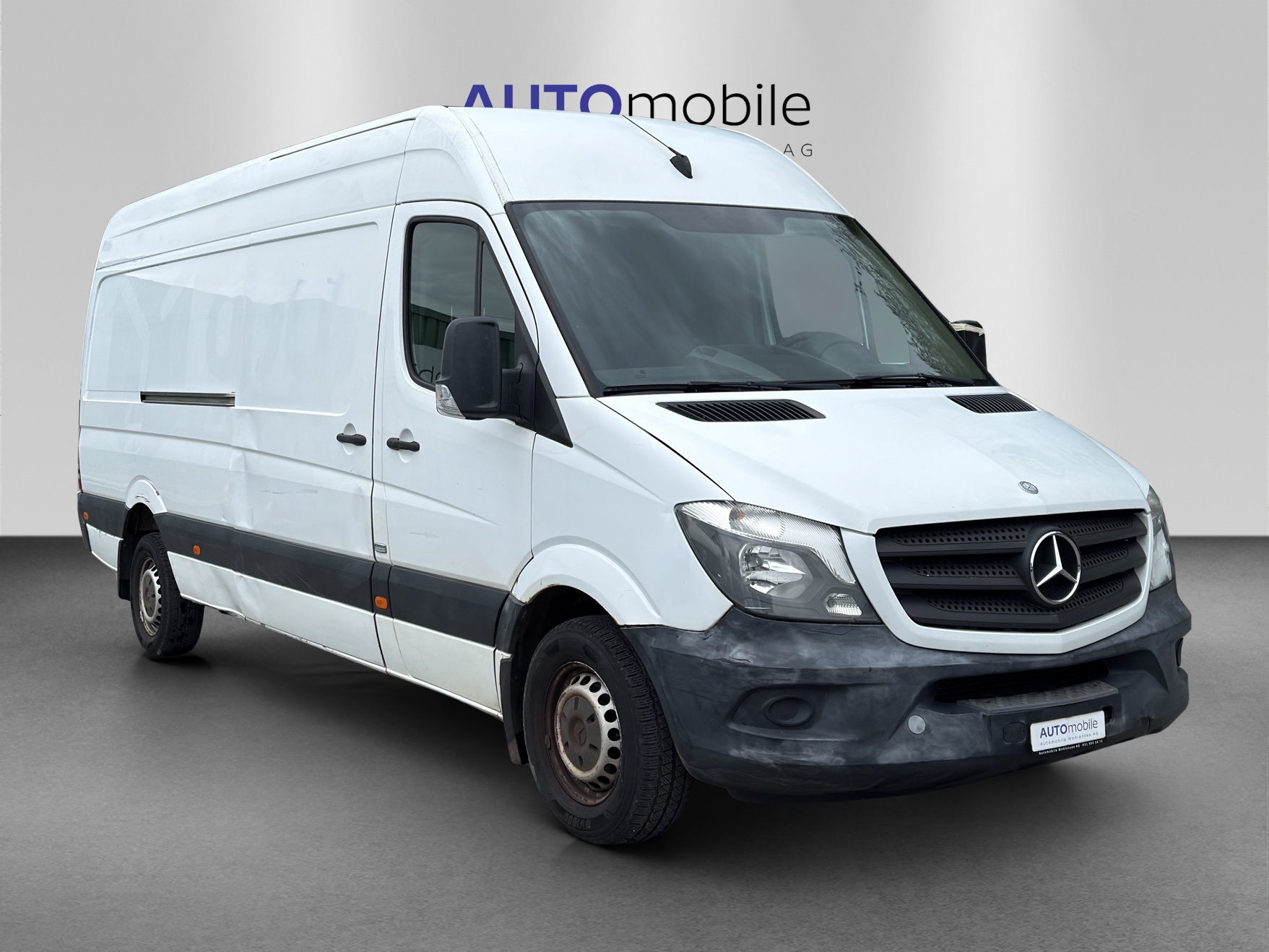 MERCEDES-BENZ Sprinter 313 CDI Extralang-image-3
