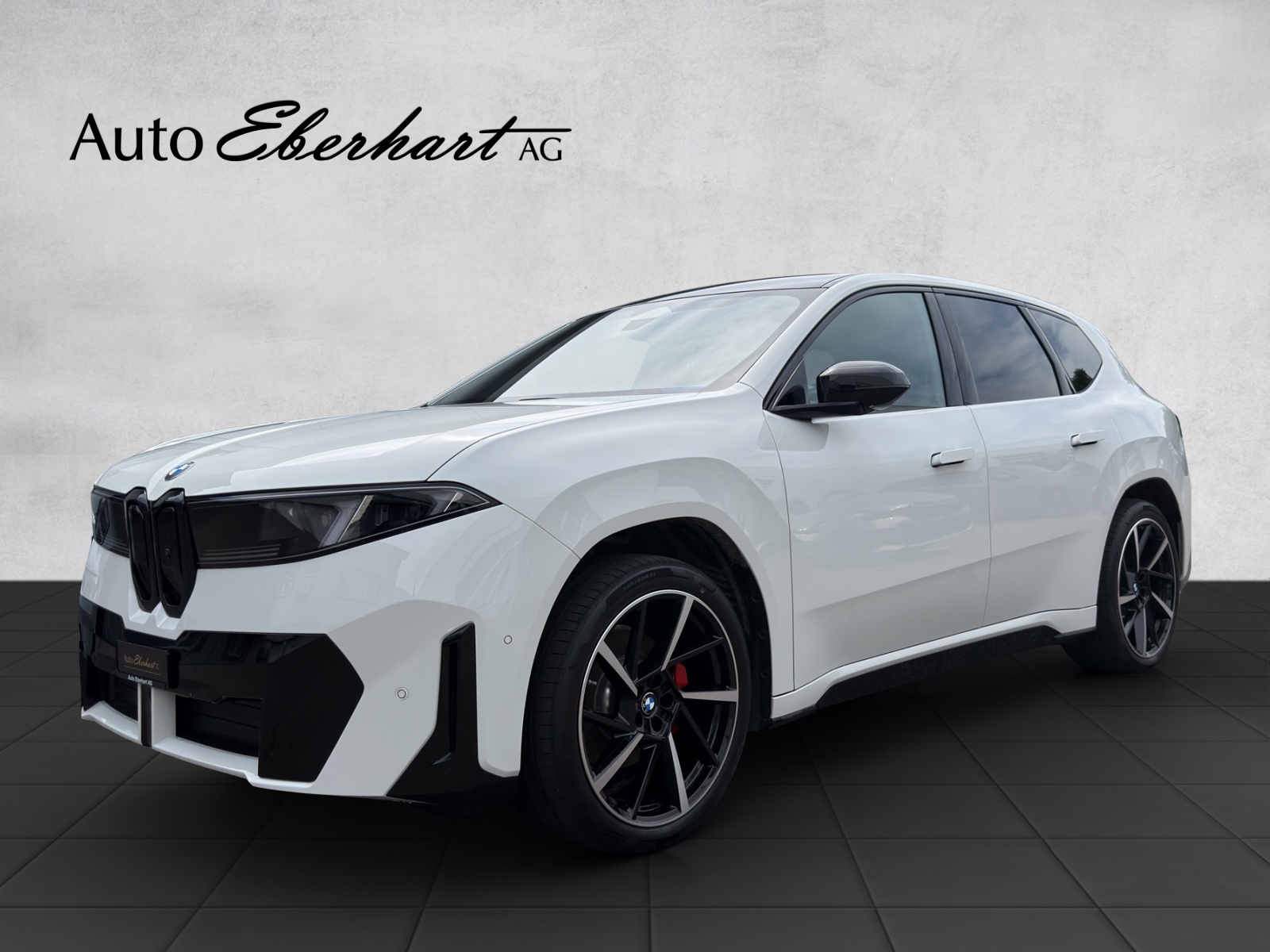BMW iX3 50 xDrive M Sport Pro-image-0