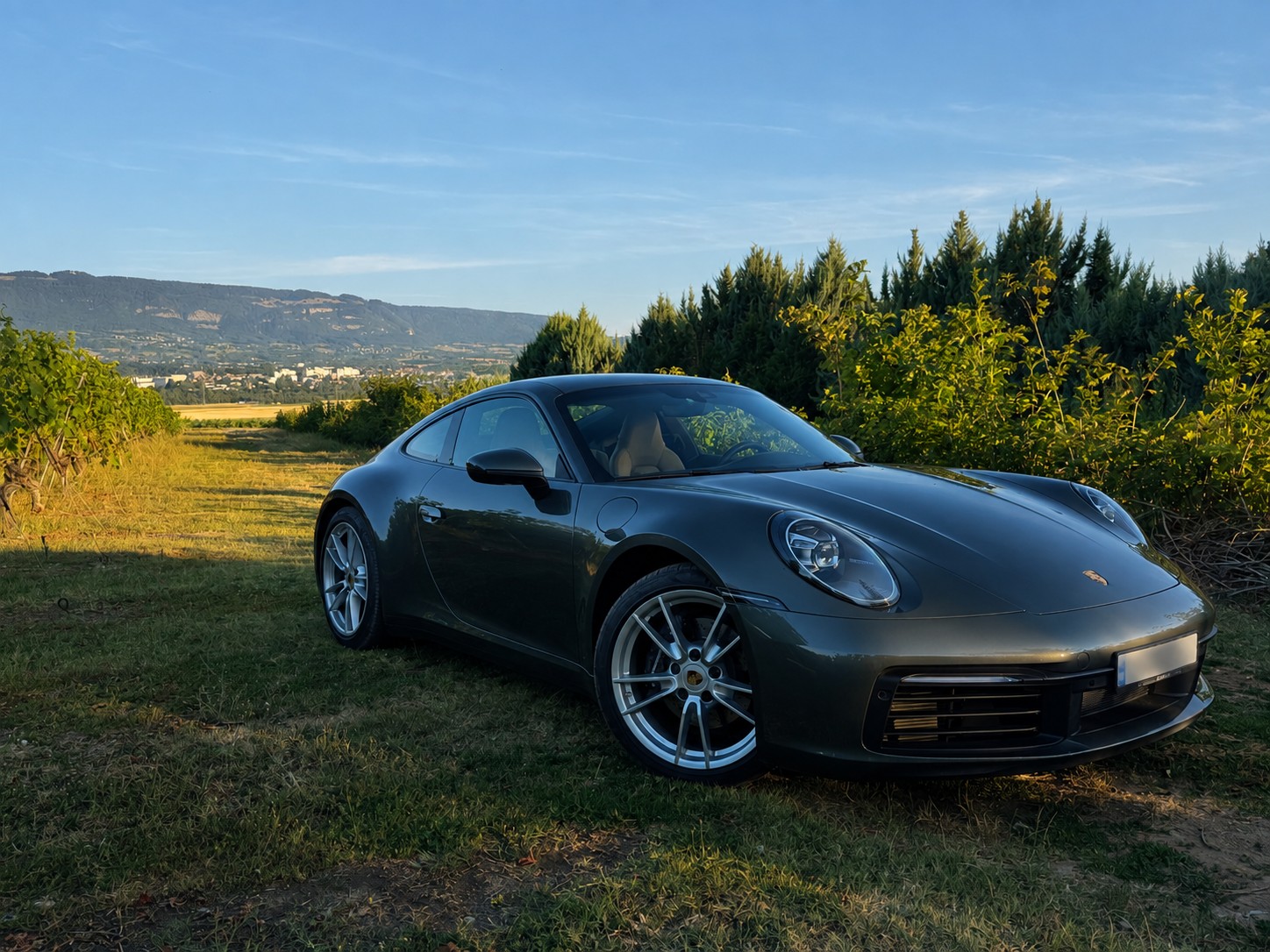 PORSCHE 3.0 Carrera PDK-image-4