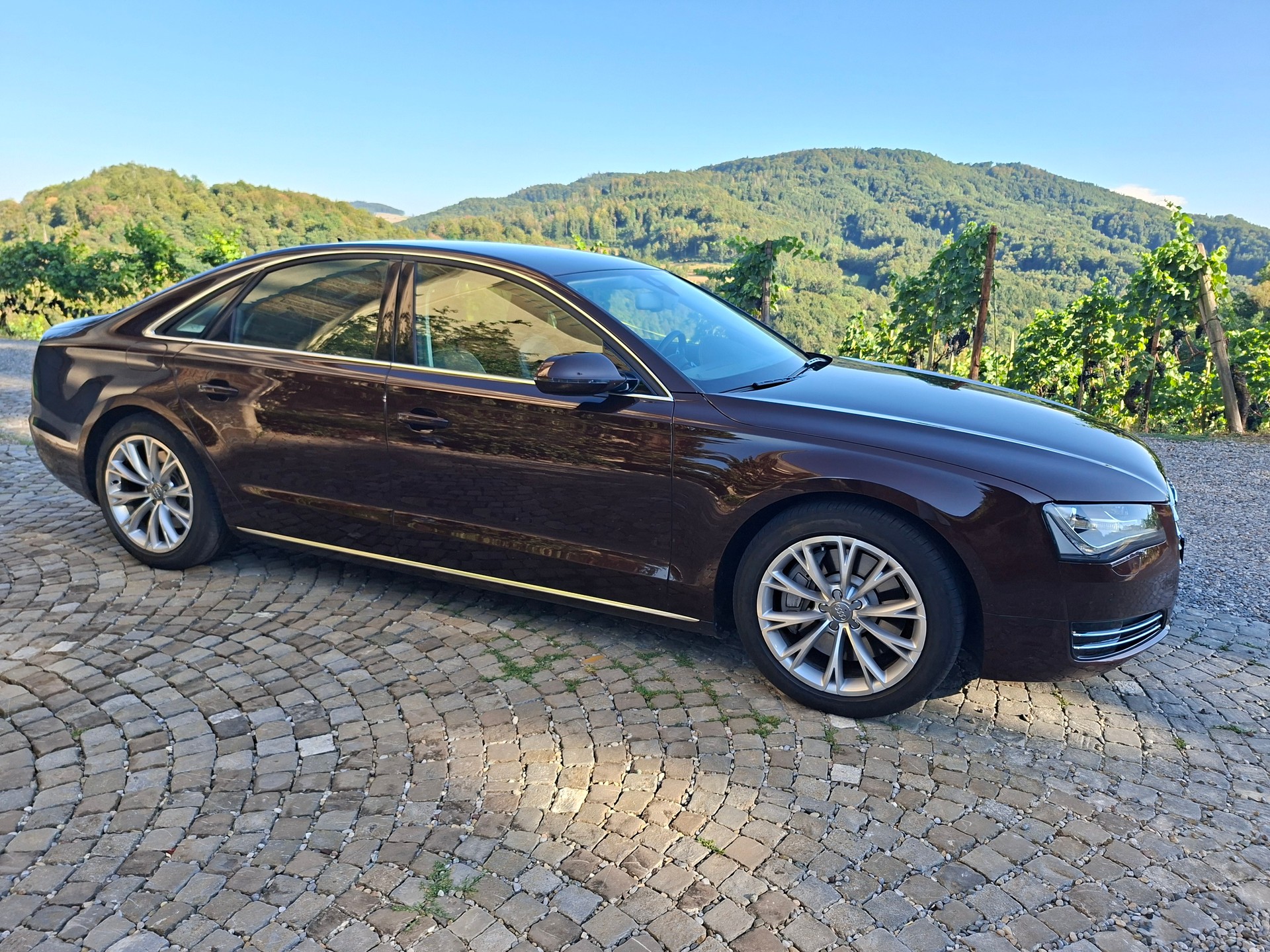 AUDI 4.2 V8 FSI quattro T-Tronic-image-6