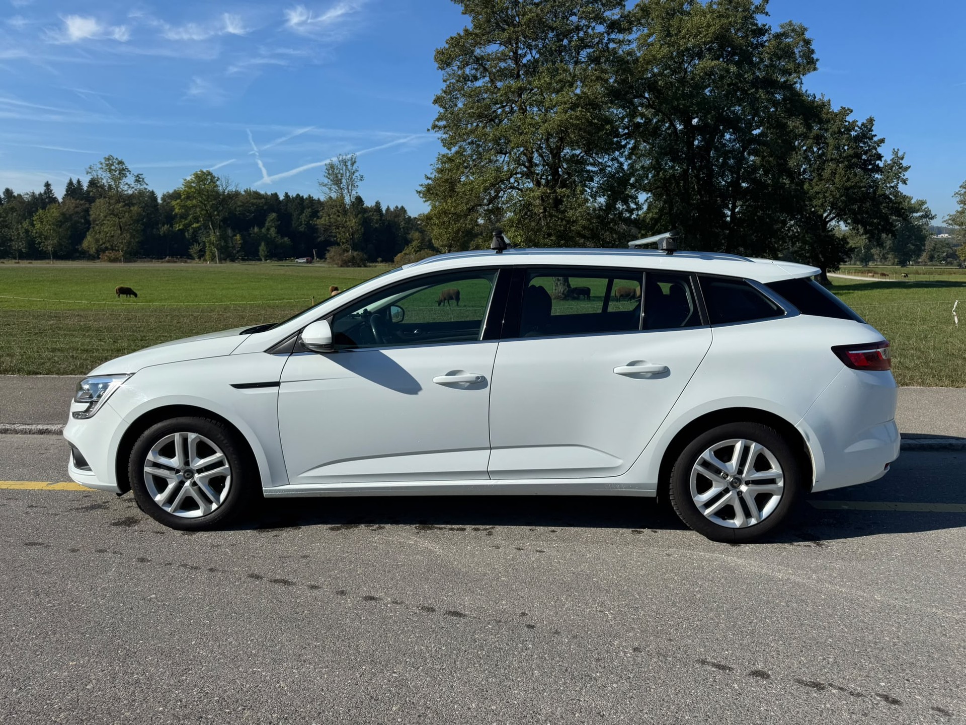 RENAULT Mégane Grandtour 1.5 dCi Business EDC-image-1