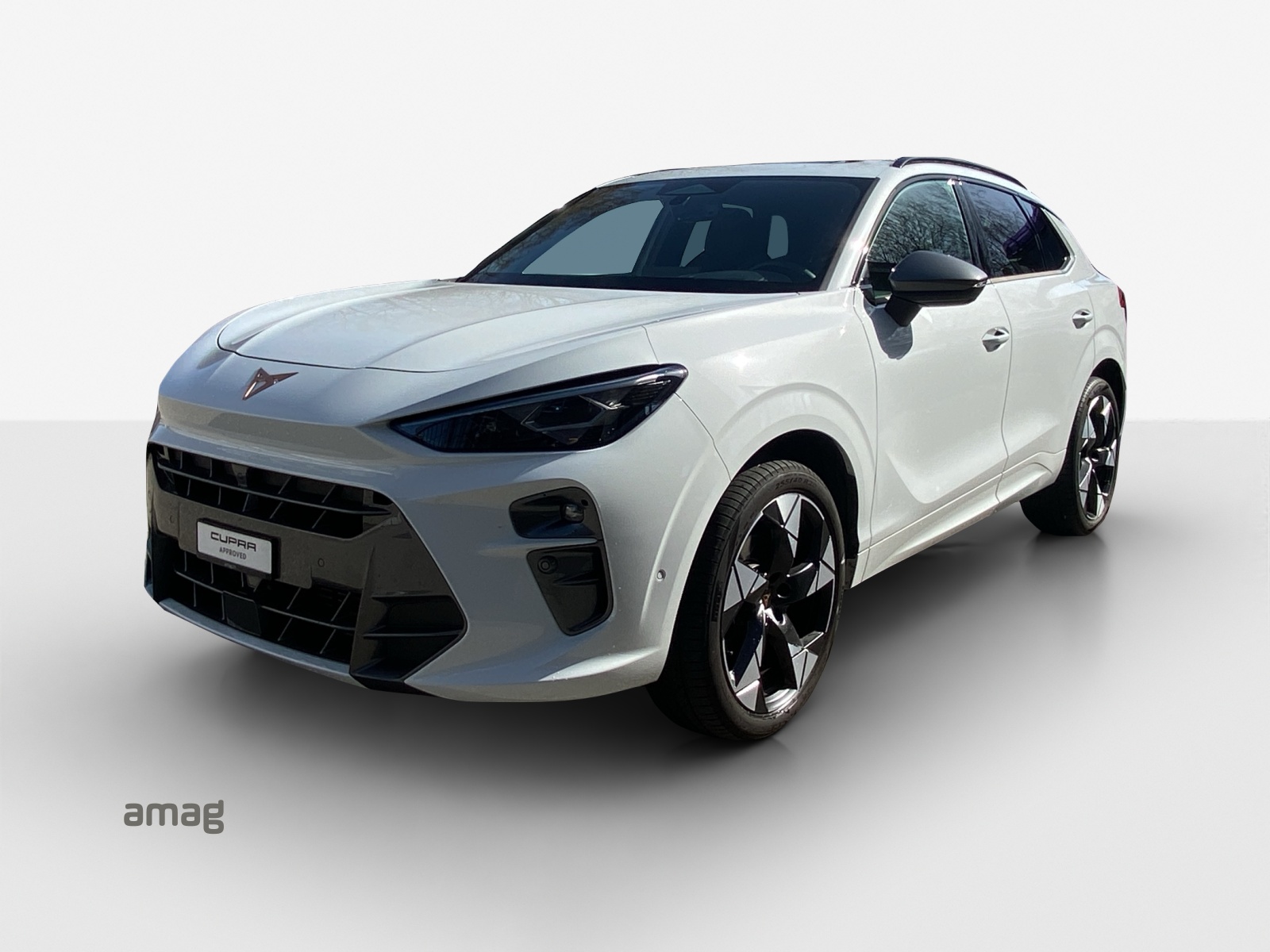 CUPRA Terramar 1.5 eTSI DSG-image-0