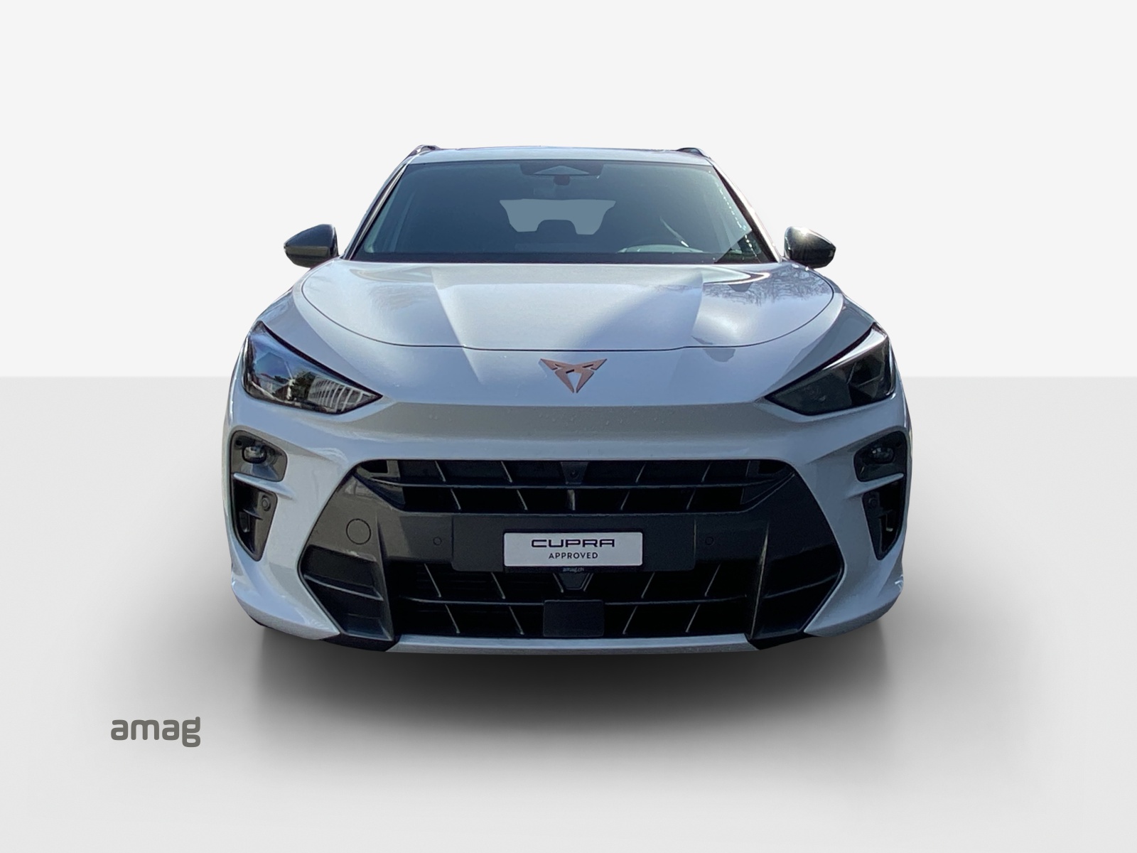 CUPRA Terramar 1.5 eTSI DSG-image-6