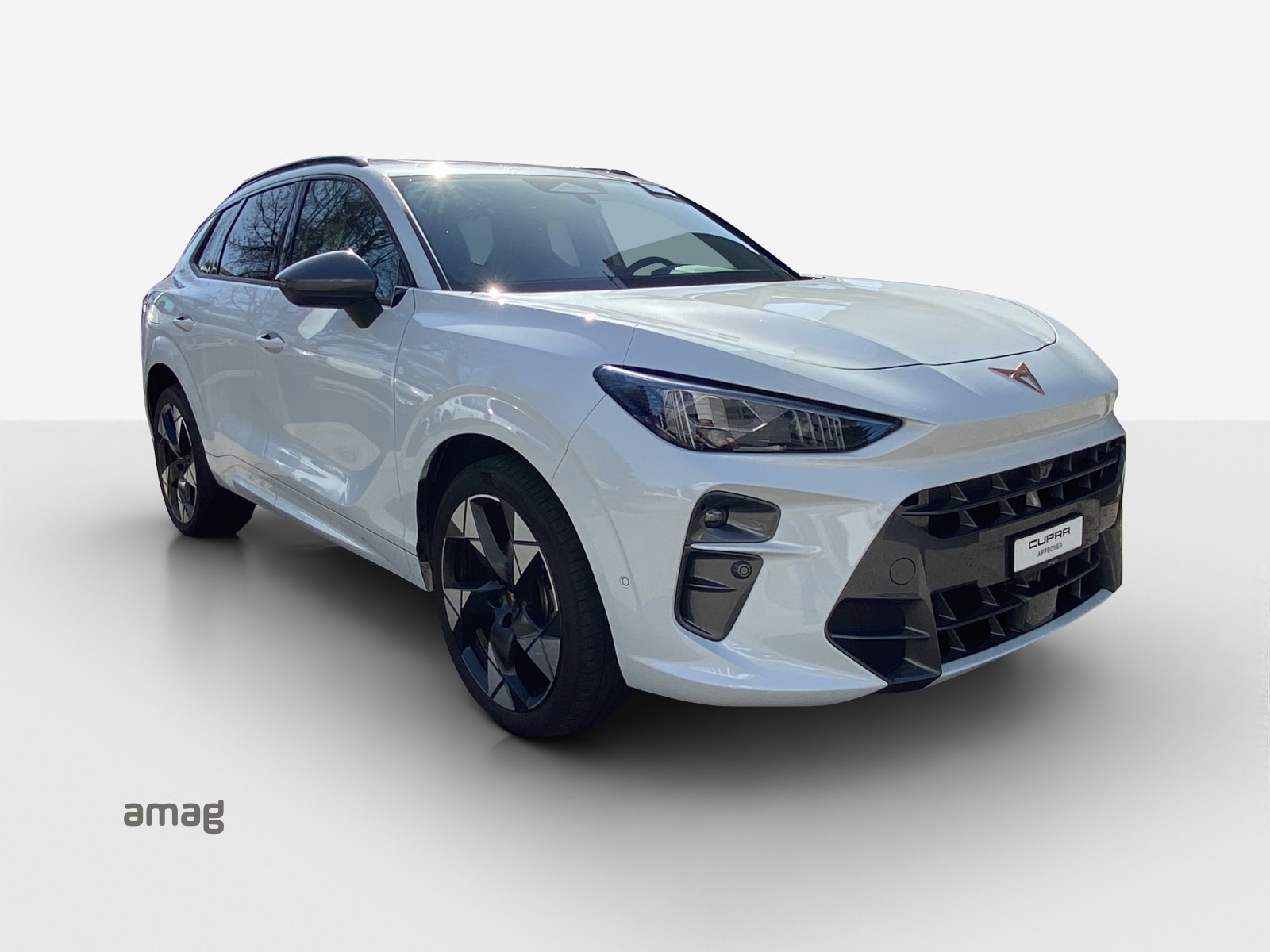 CUPRA Terramar 1.5 eTSI DSG-image-5
