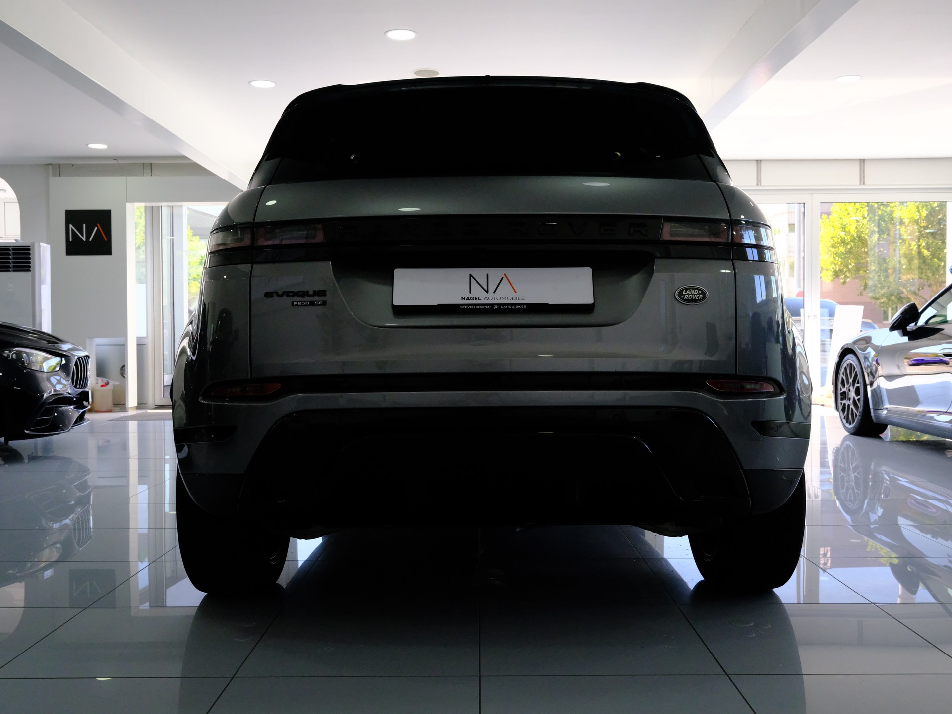 LAND ROVER Range Rover Evoque R-Dynamic P 250 SE AT9-image-3