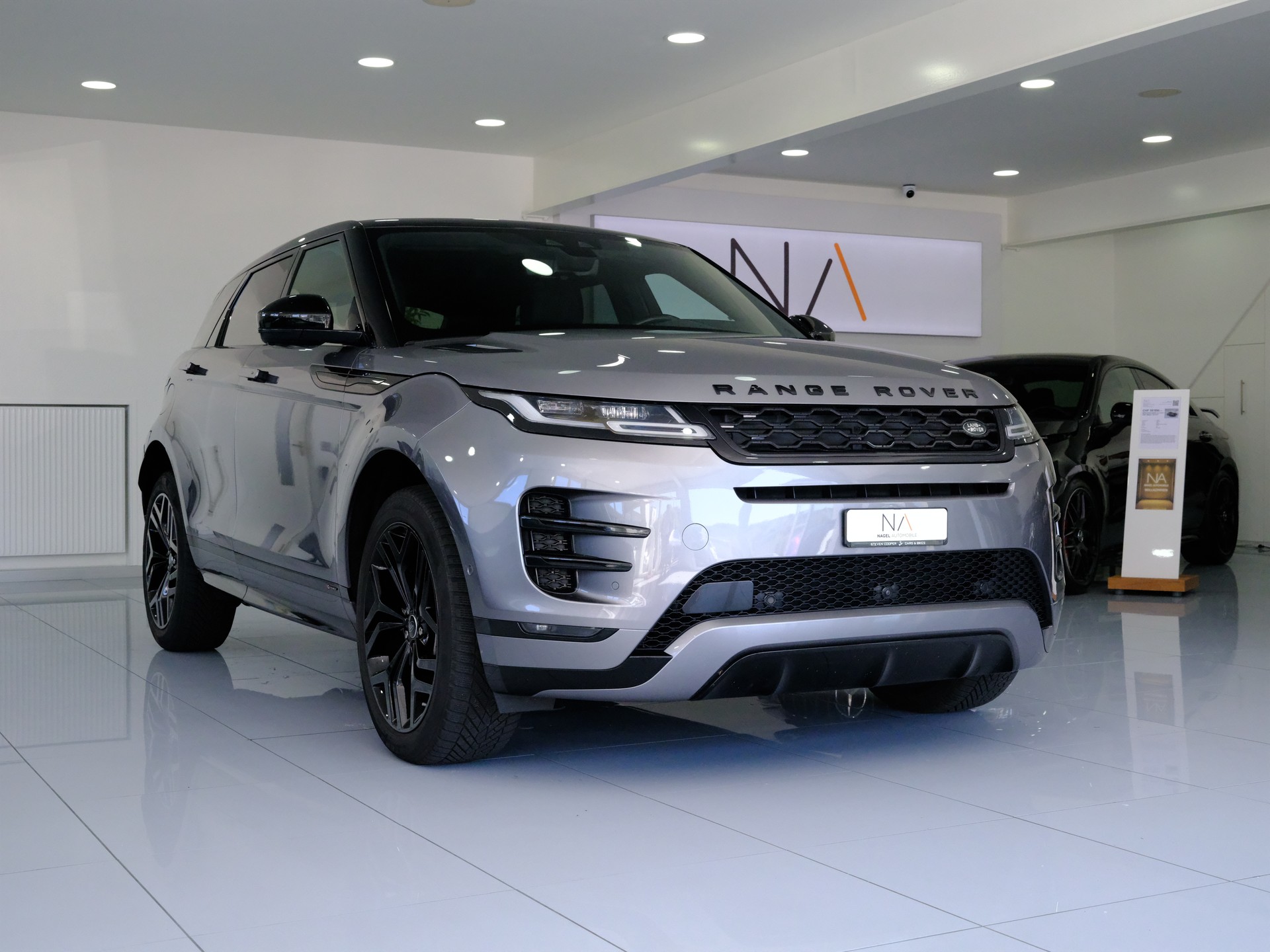 LAND ROVER Range Rover Evoque R-Dynamic P 250 SE AT9-image-1