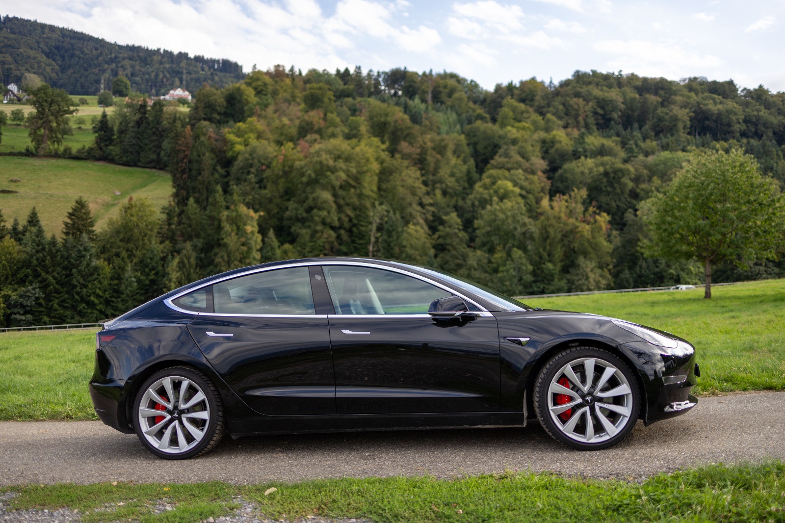 TESLA Performance D-image-1
