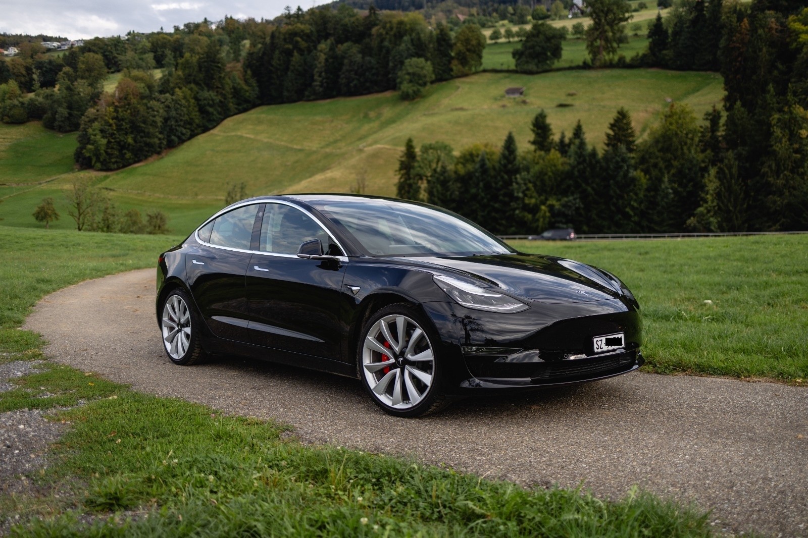 TESLA Performance D-image-0