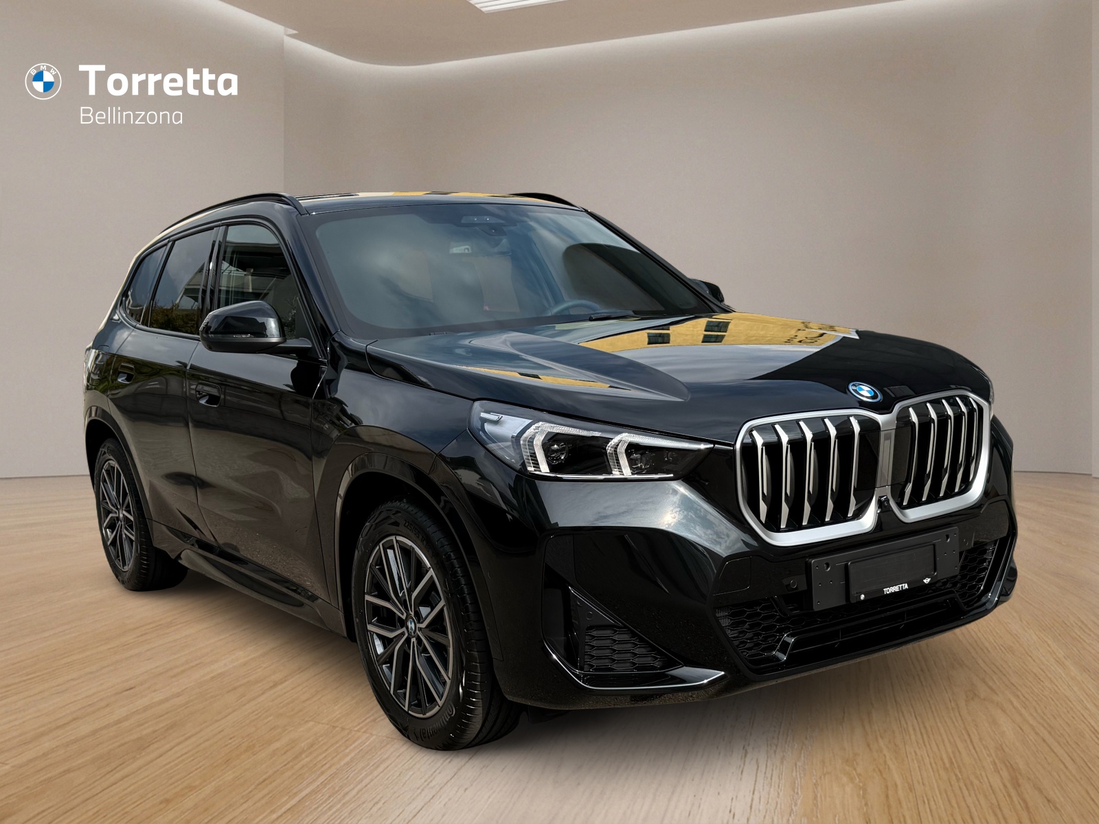 BMW X1 xDrive 30e M Sport-image-6